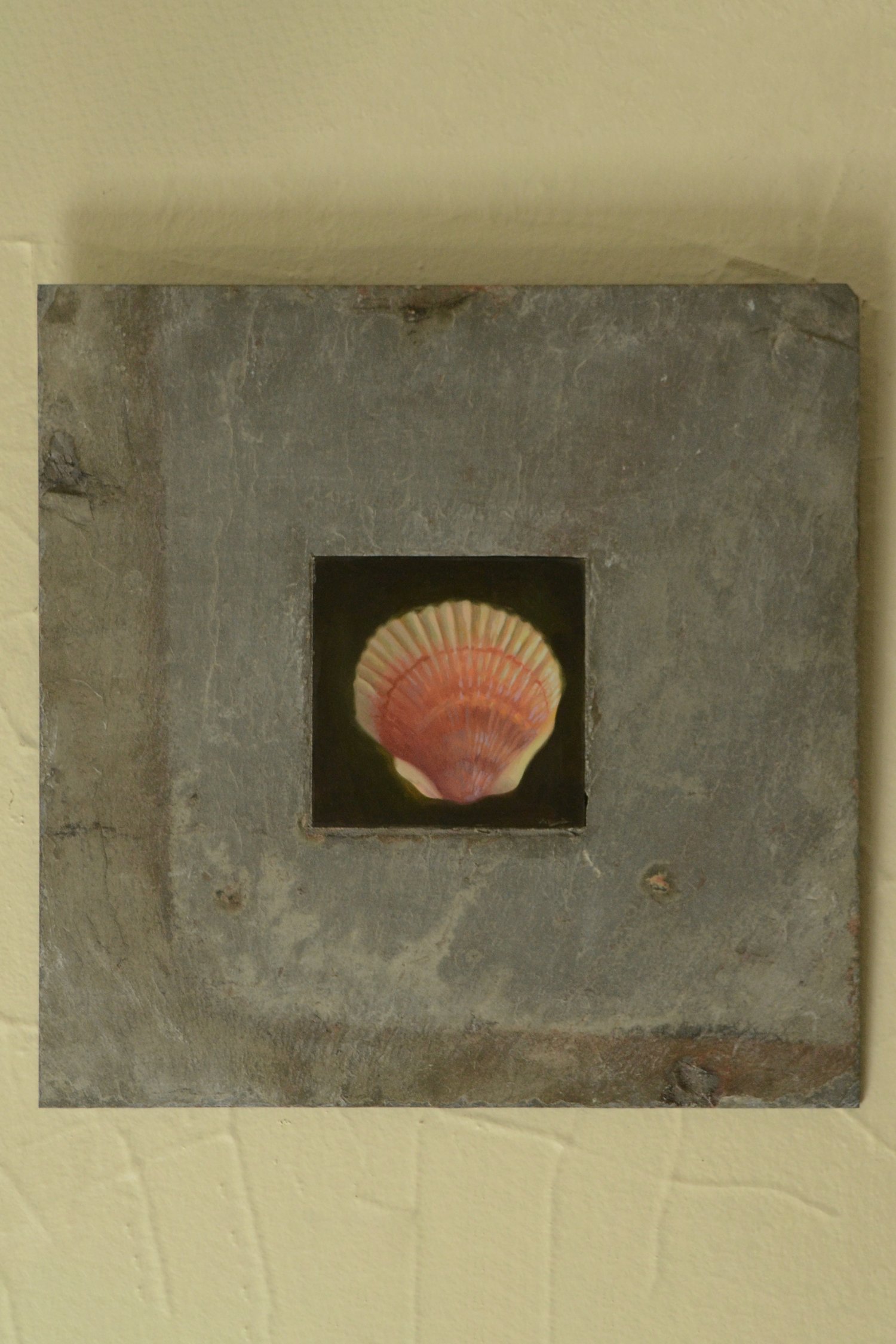 Shell III