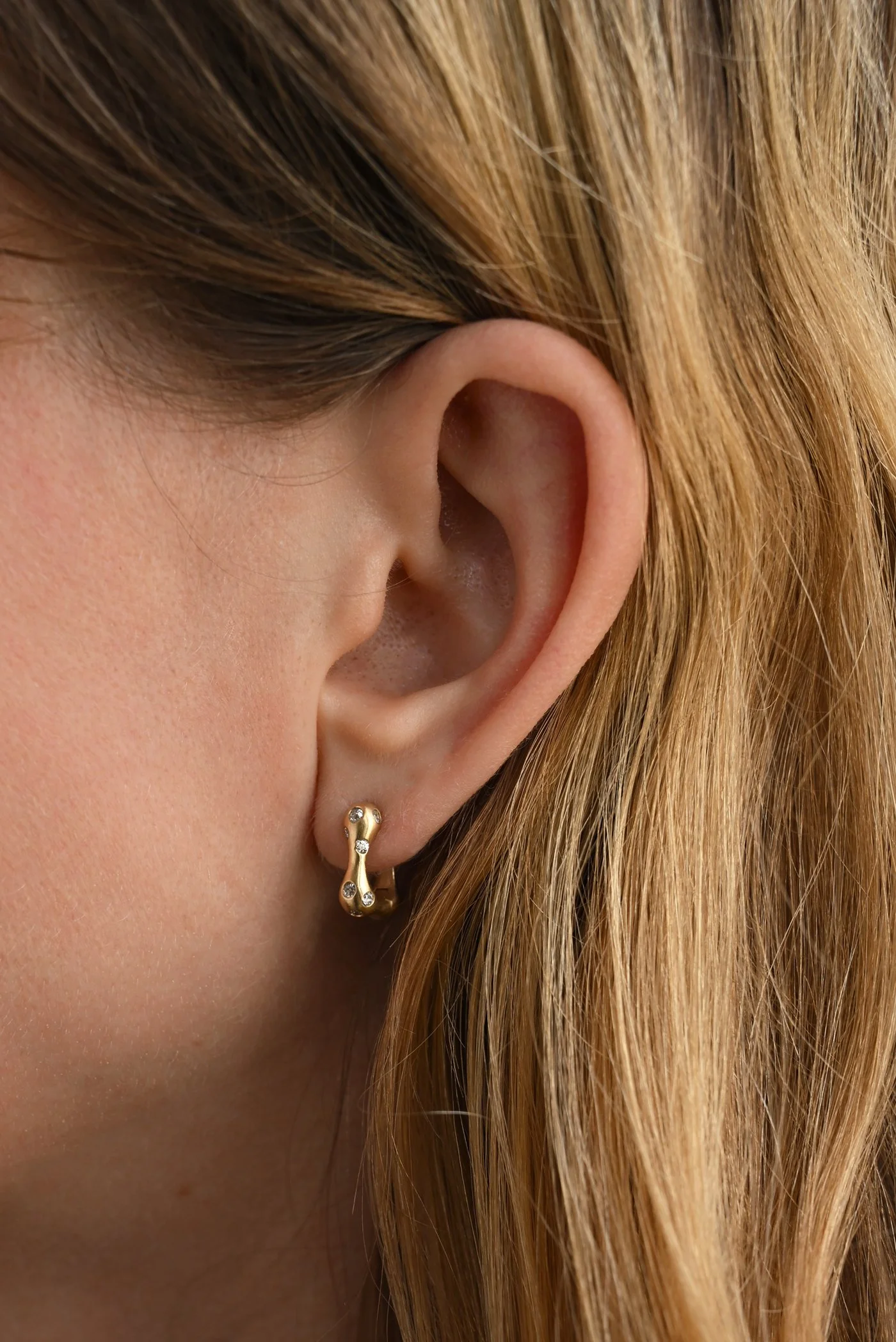 Dunton-Ellerkamp-Owen-Earring-Gold-Diamond-Scattered-1.jpg