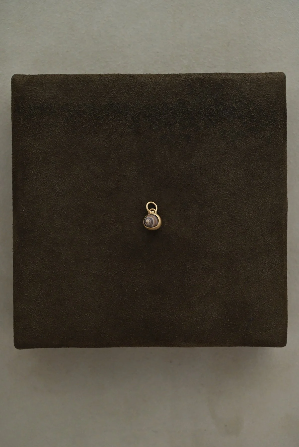 Dunton_Ellerkamp_Micro_Snail_Shell_2.jpg