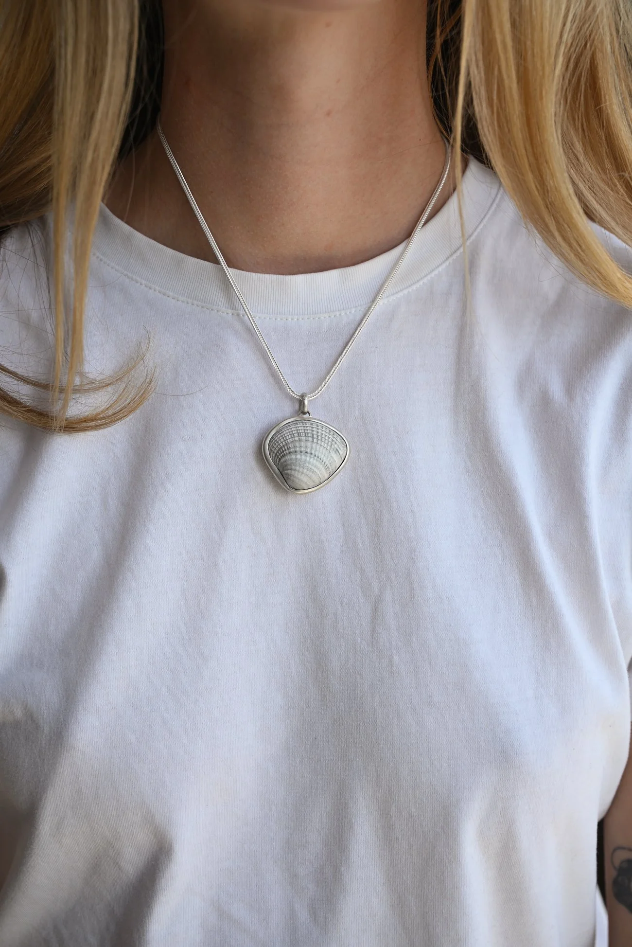 Dunton-Ellerkamp-White-Shell-On-Figure-1.jpg