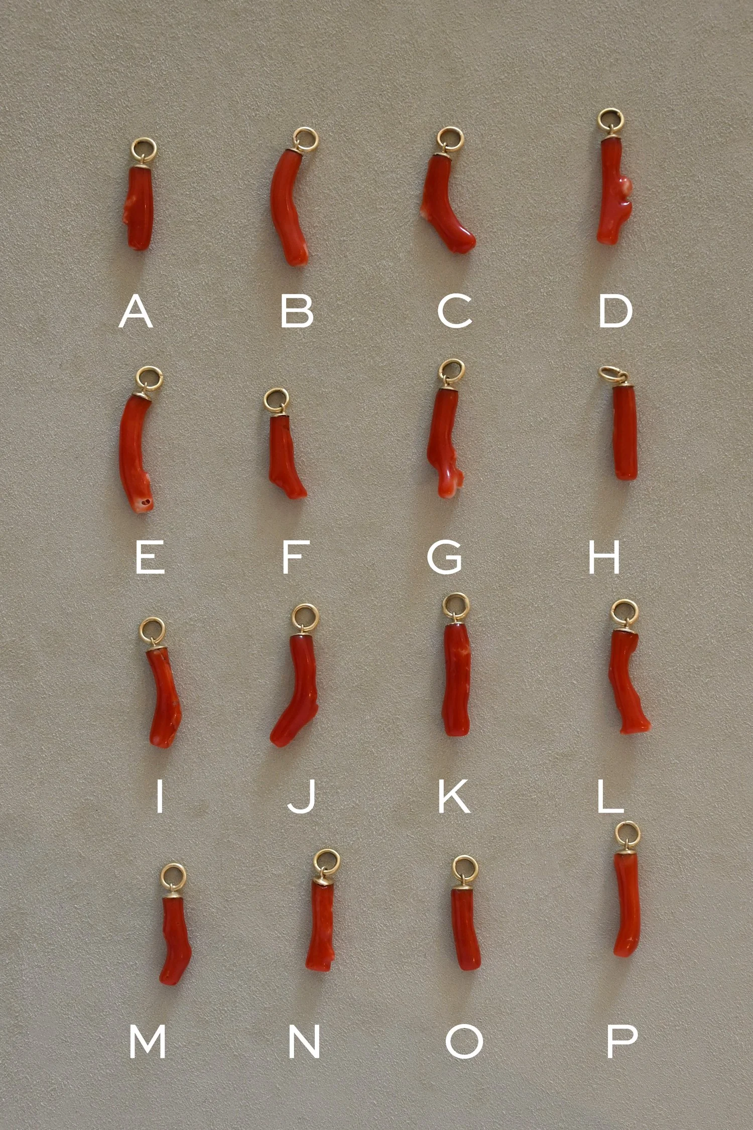 Dunton-Ellerkamp-Coral-Talisman-Oct-8-Web-Selection.jpg