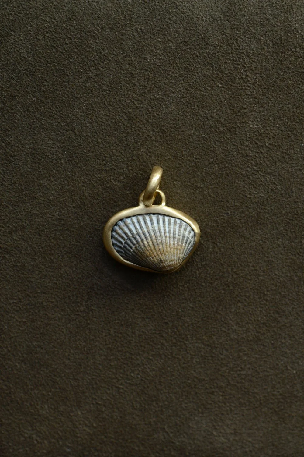 Dunton_Ellerkamp_Gold_Shell_Pendant_2.jpg