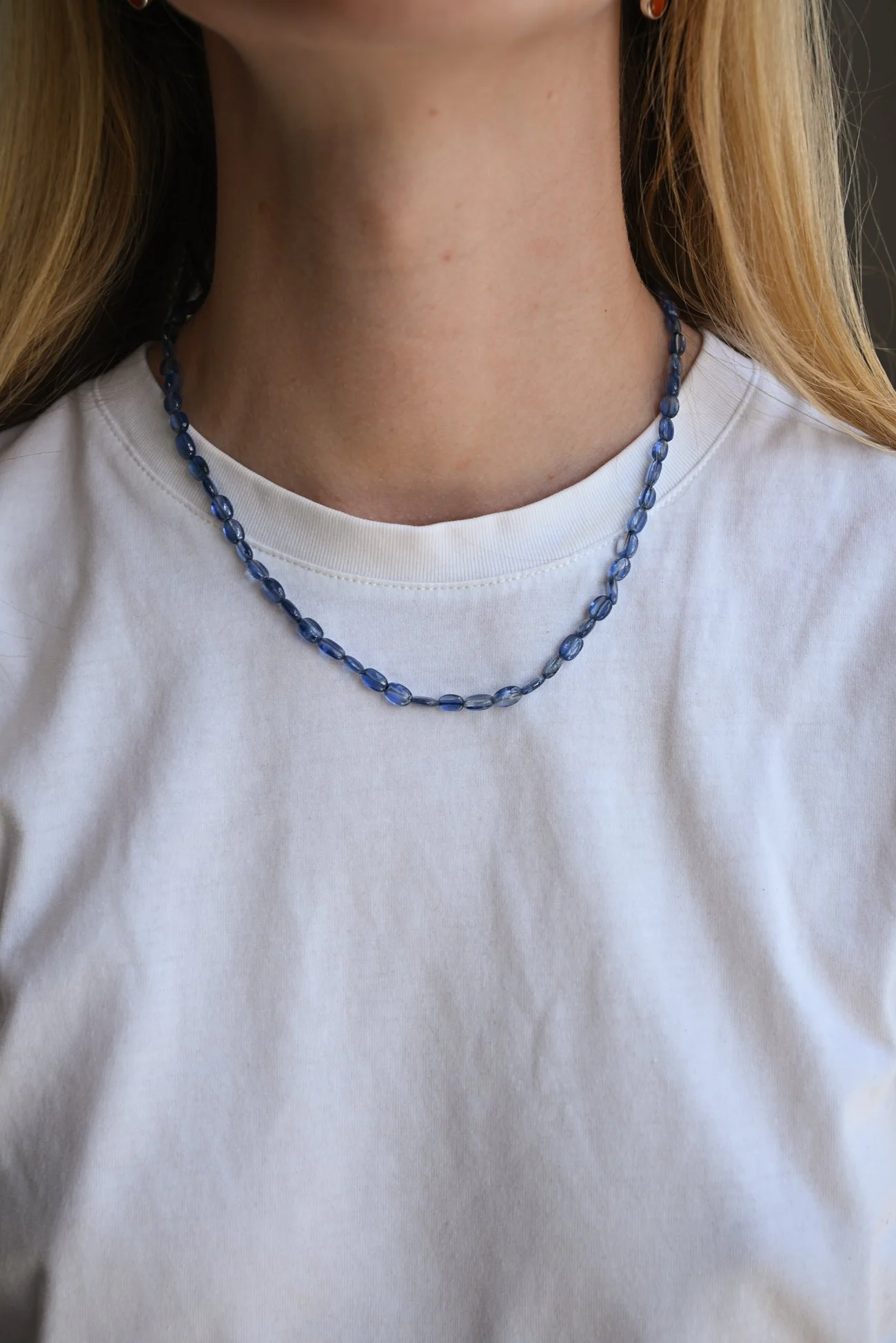 Dunton-Ellerkamp-Kyanite-On-Figure.jpg