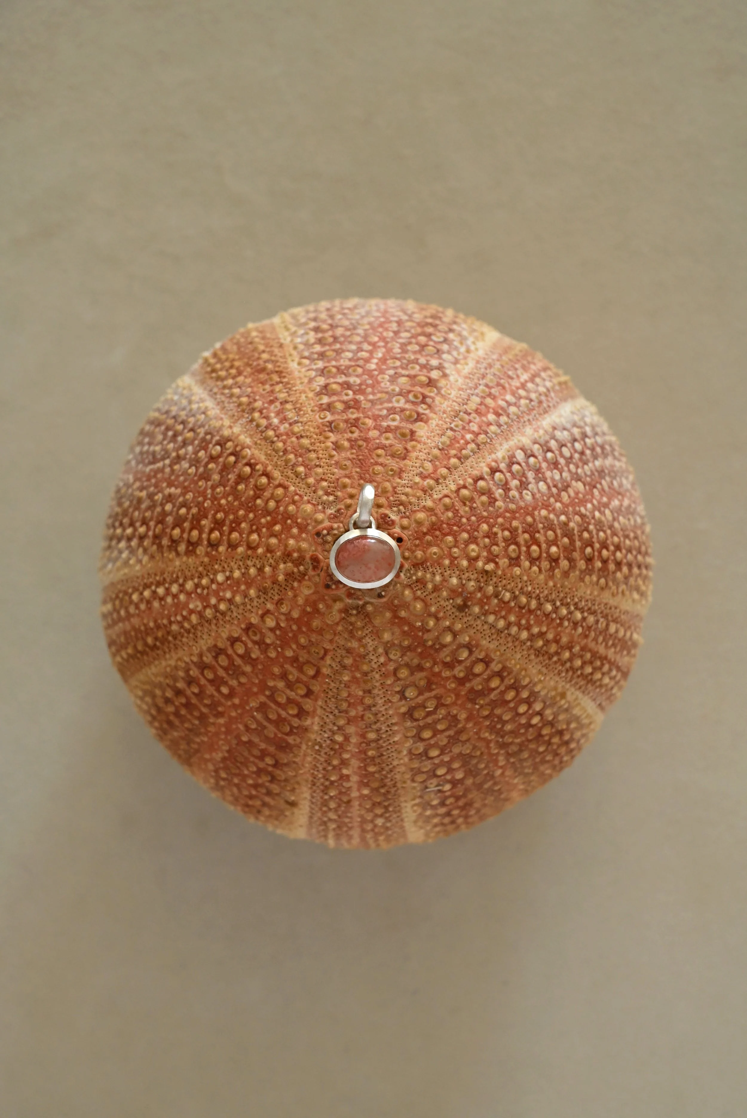 Dunton-Ellerkamp-Fossilized-Coral-Aka-Coral-Pendants-October-2026DSC_6685.jpg
