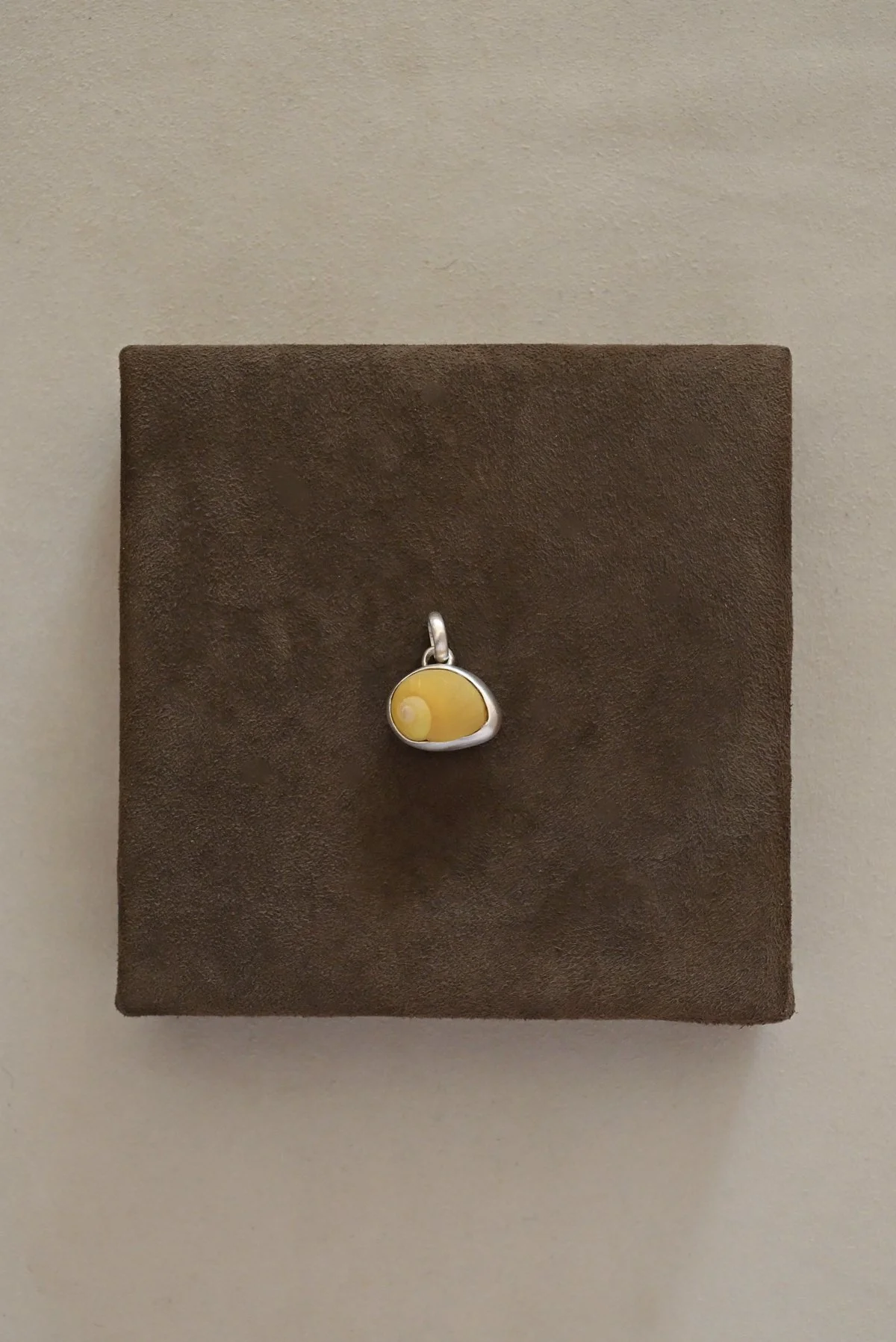 Dunton_Ellerkamp_Snail_Shell.jpg