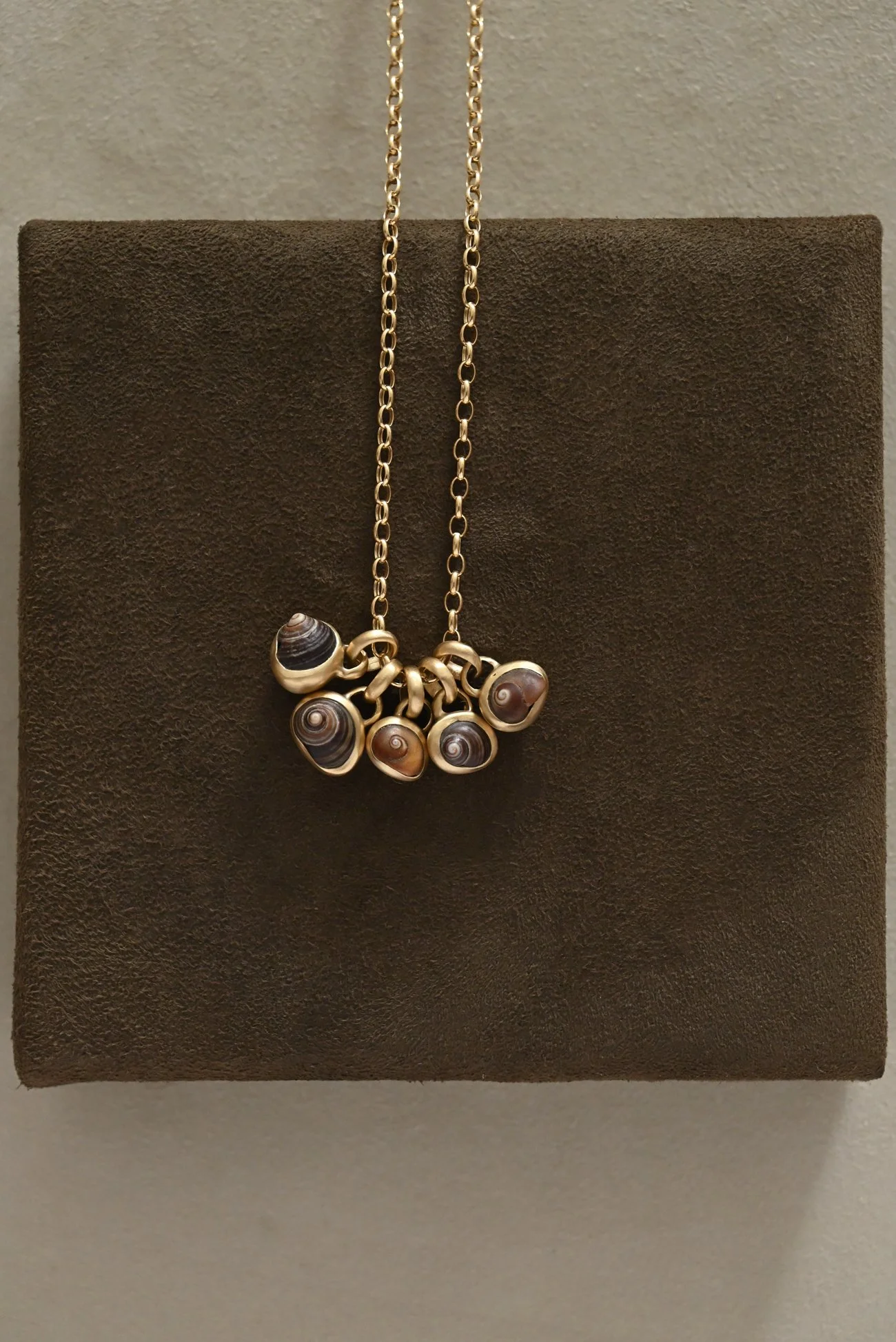 Dunton-Ellerkamp-Shell-Pendant-Group-August-2026-Web-12.jpg (Copy) (Copy) (Copy)
