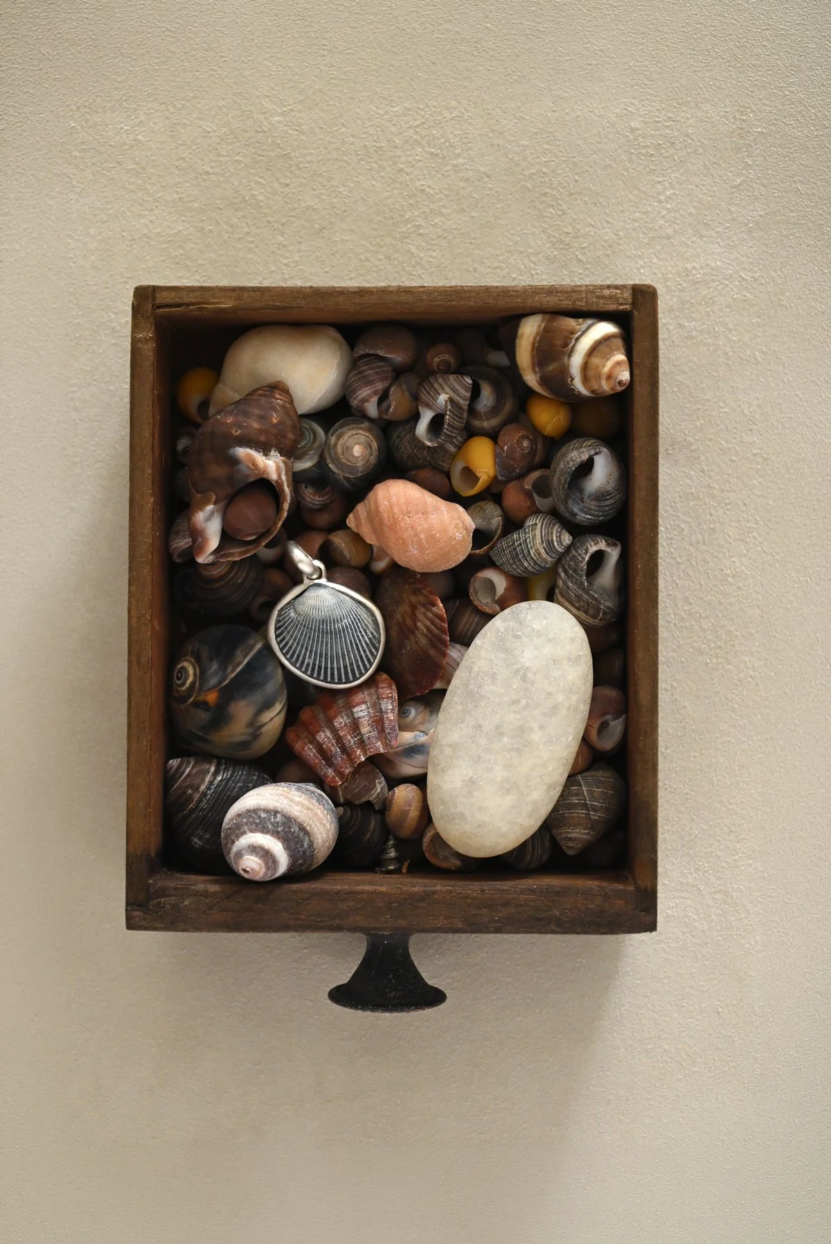 Dunton-Ellerkamp-Shell-Pendant-Group-August-2026-Web-7.jpg