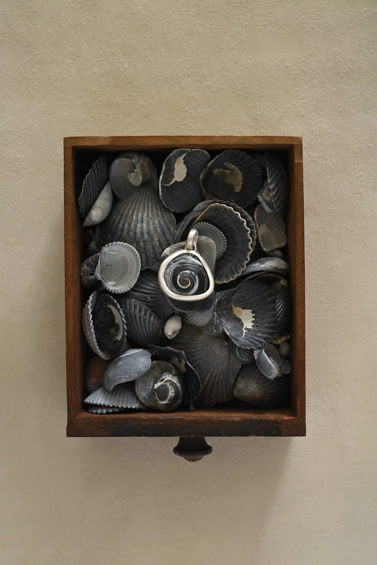 Dunton-Ellerkamp-Shell-Pendant-Group-August-2026-Web-6.jpg