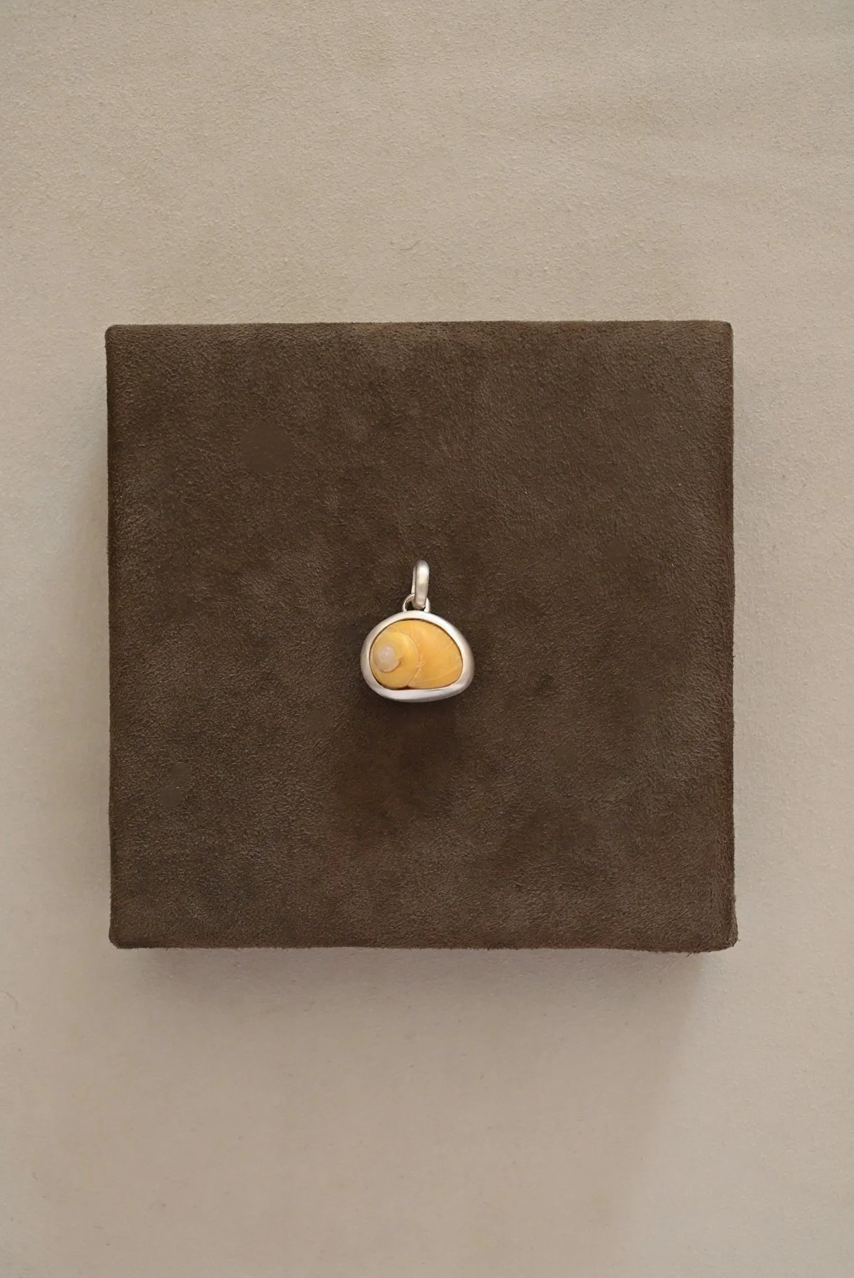 Dunton_Ellerkamp_Yellow_Snail_Shell.jpg