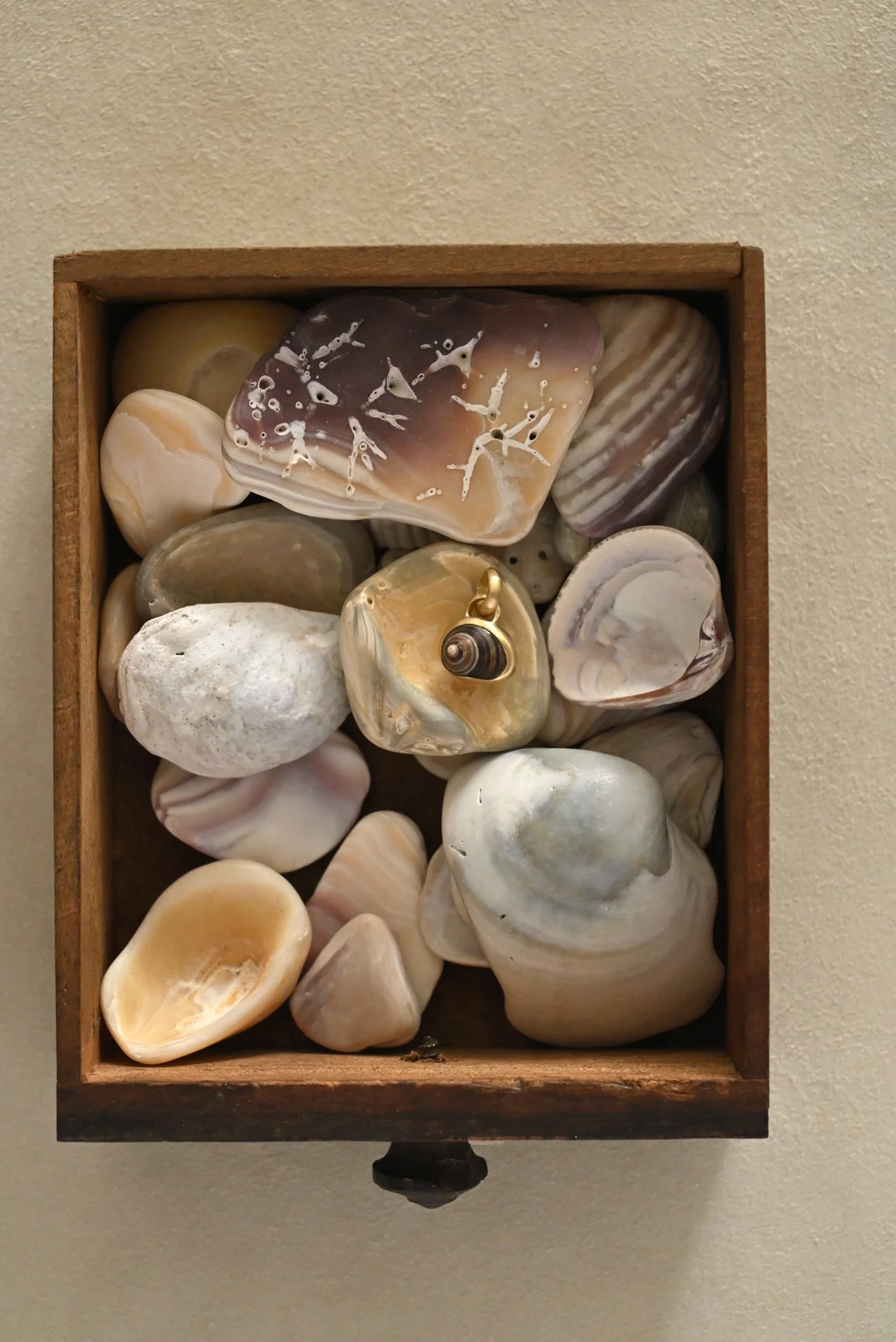 Gold Shell Pendant No. 23