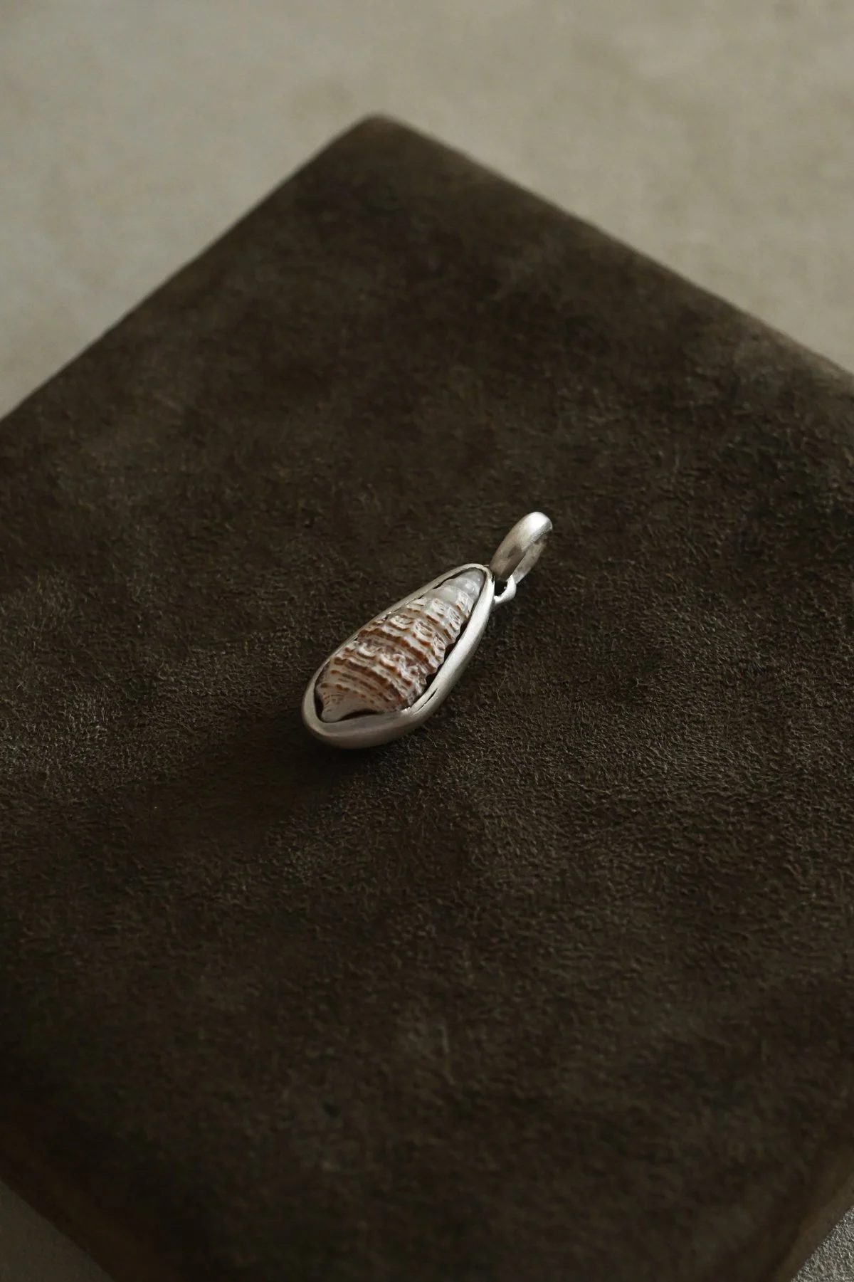 Dunton_Ellerkamp_Spiral_Snail_Shell_4.jpg