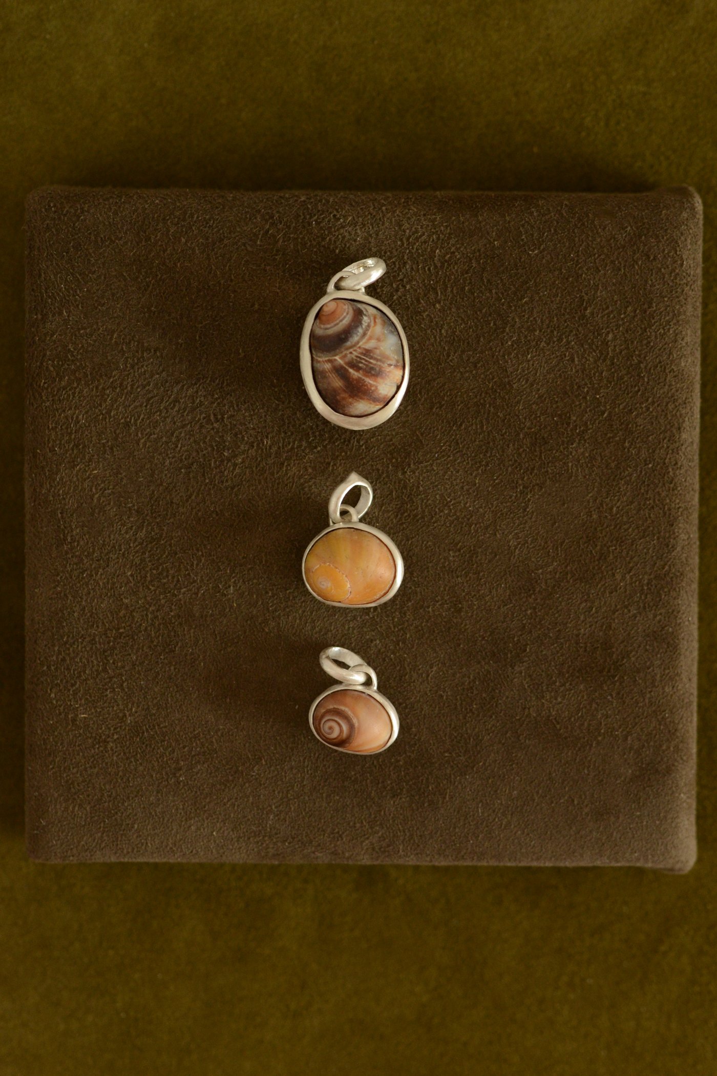 Dunton_Ellerkamp_Shell_Pendants_Group_1.jpg