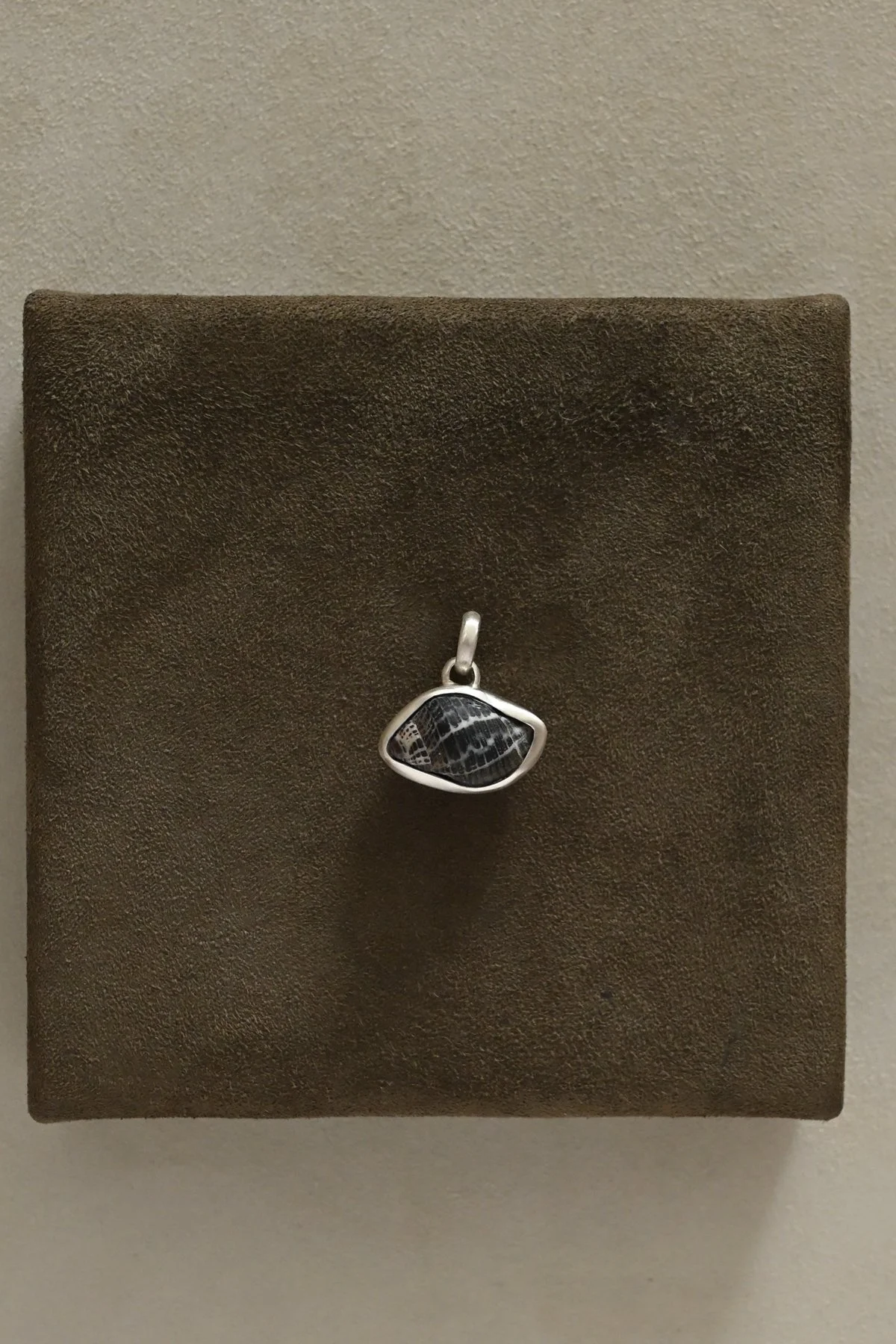 Dunton_Ellerkamp_Snail_Shell_2.jpg