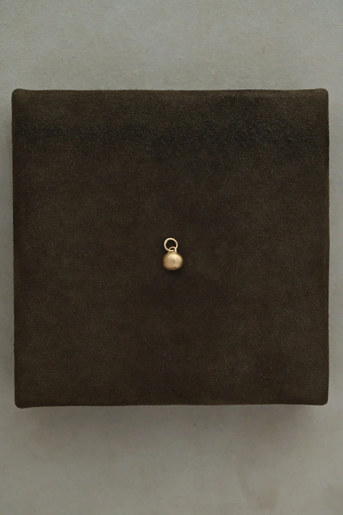Dunton_Ellerkamp_Micro_Snail_Shell_3.jpg