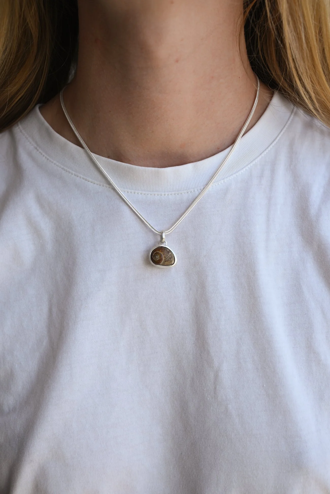 Dunton-Ellerkamp-Snail-Shell-Medium-On-Figure.jpg