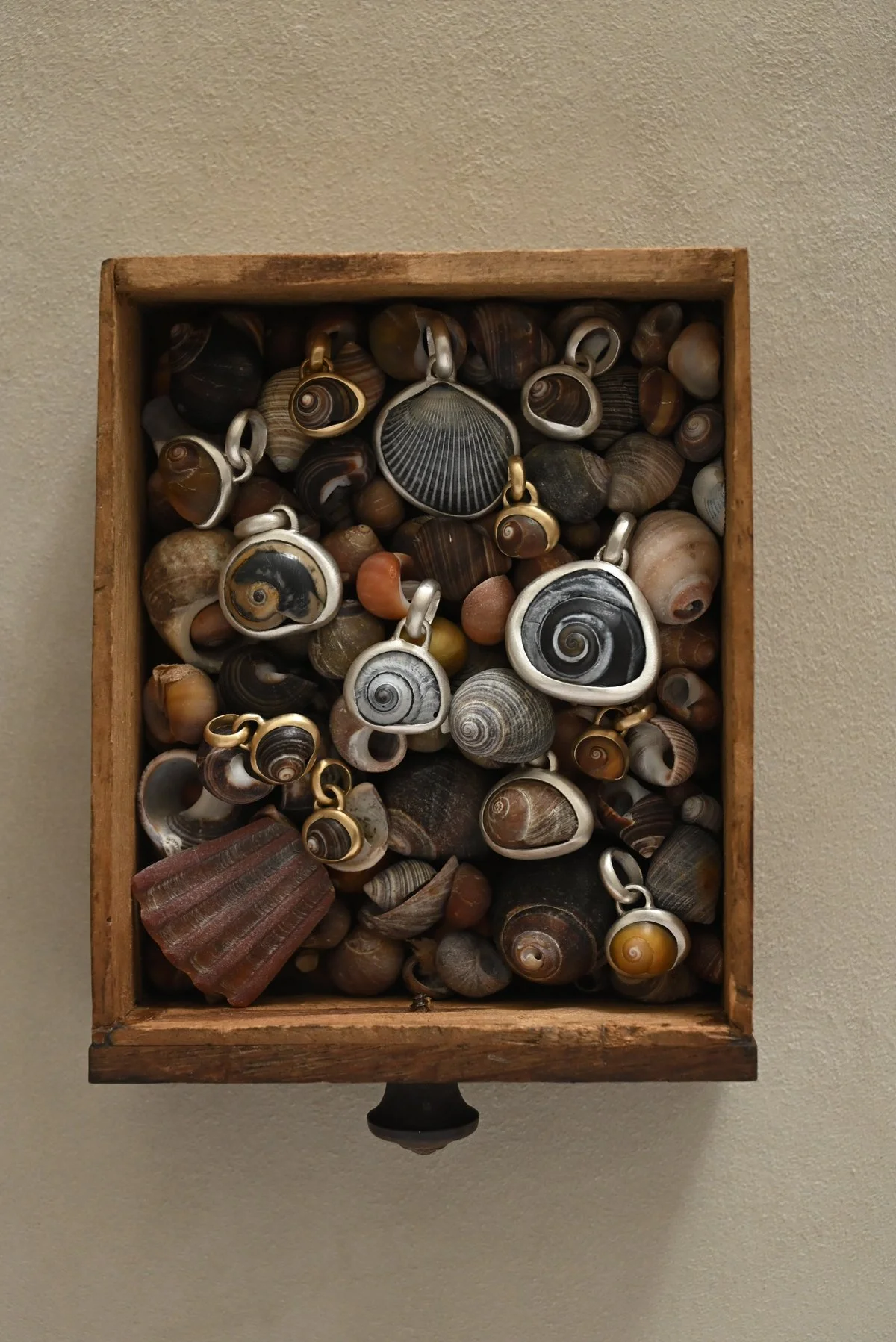 Dunton-Ellerkamp-Shell-Pendant-Group-August-2026-Web-2.jpg