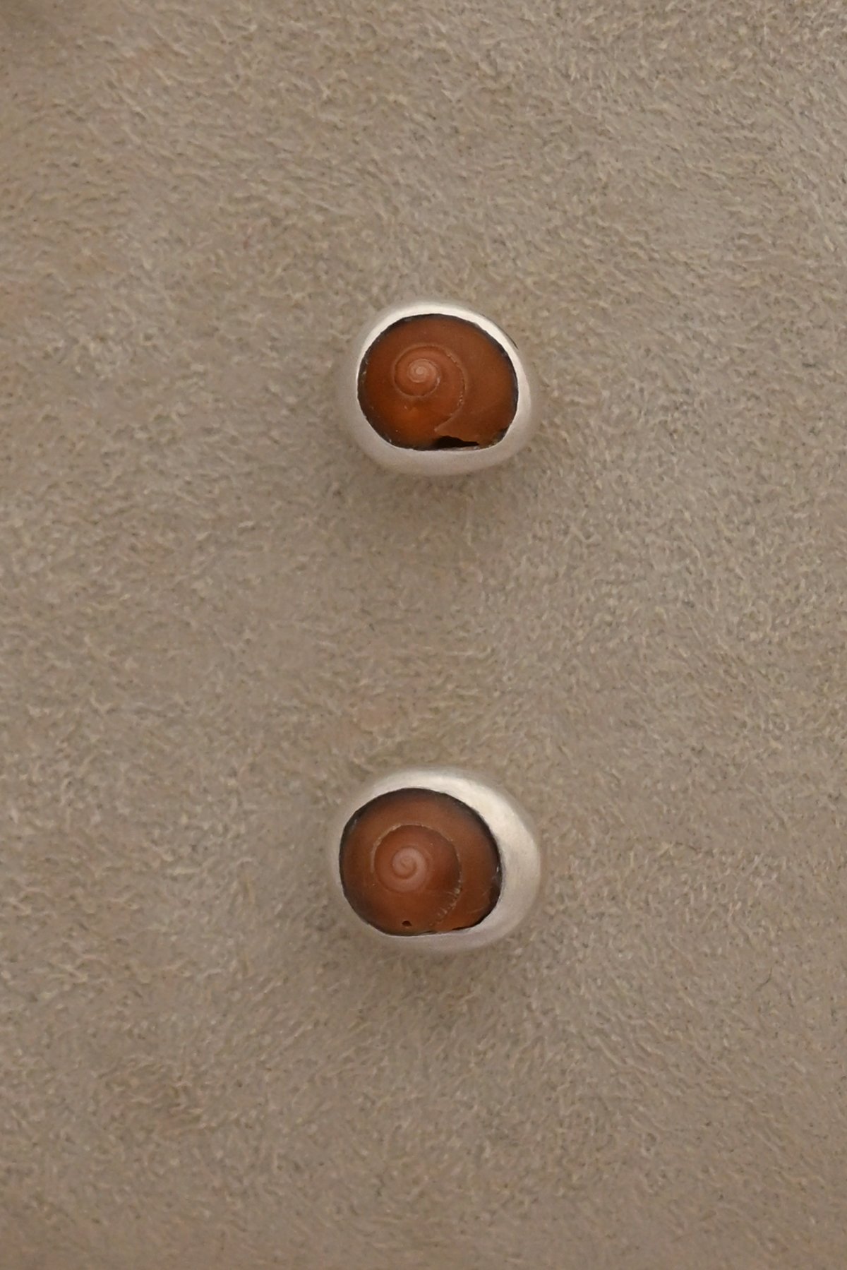 Shell Stud Earrings