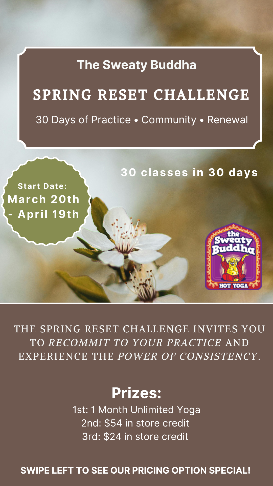 TSB Spring Reset Challenge