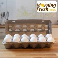 Morning Fresh Eggs.jpeg