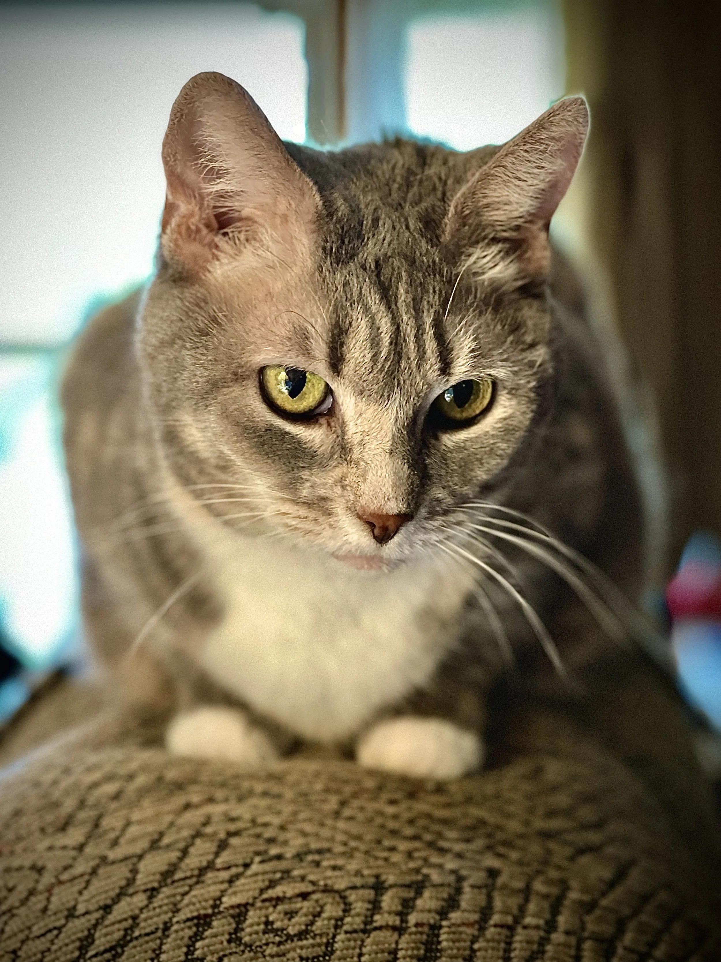 IMG_3639.jpeg