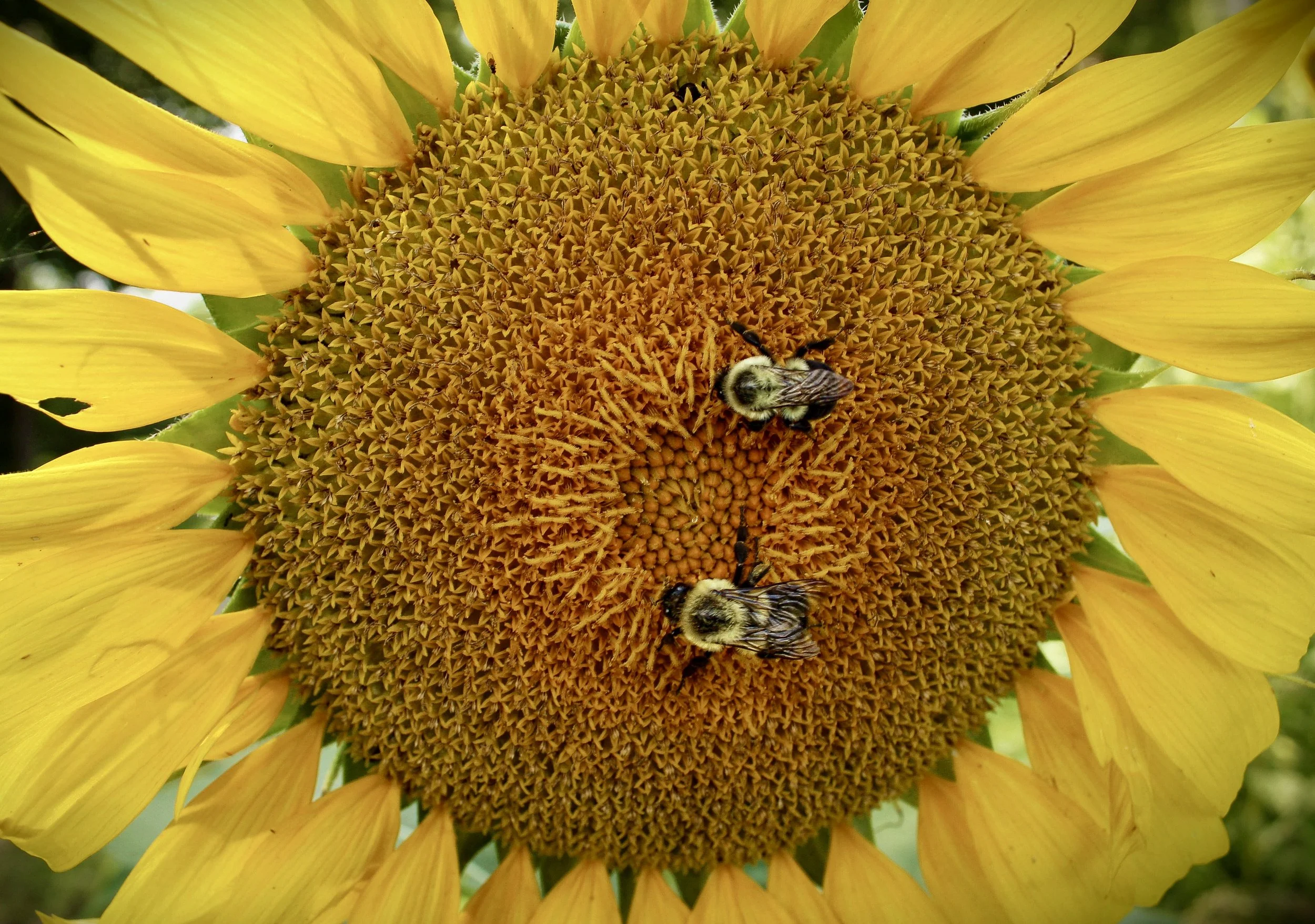E8913058-9F98-476A-A2D7-438C209BB93F.jpeg