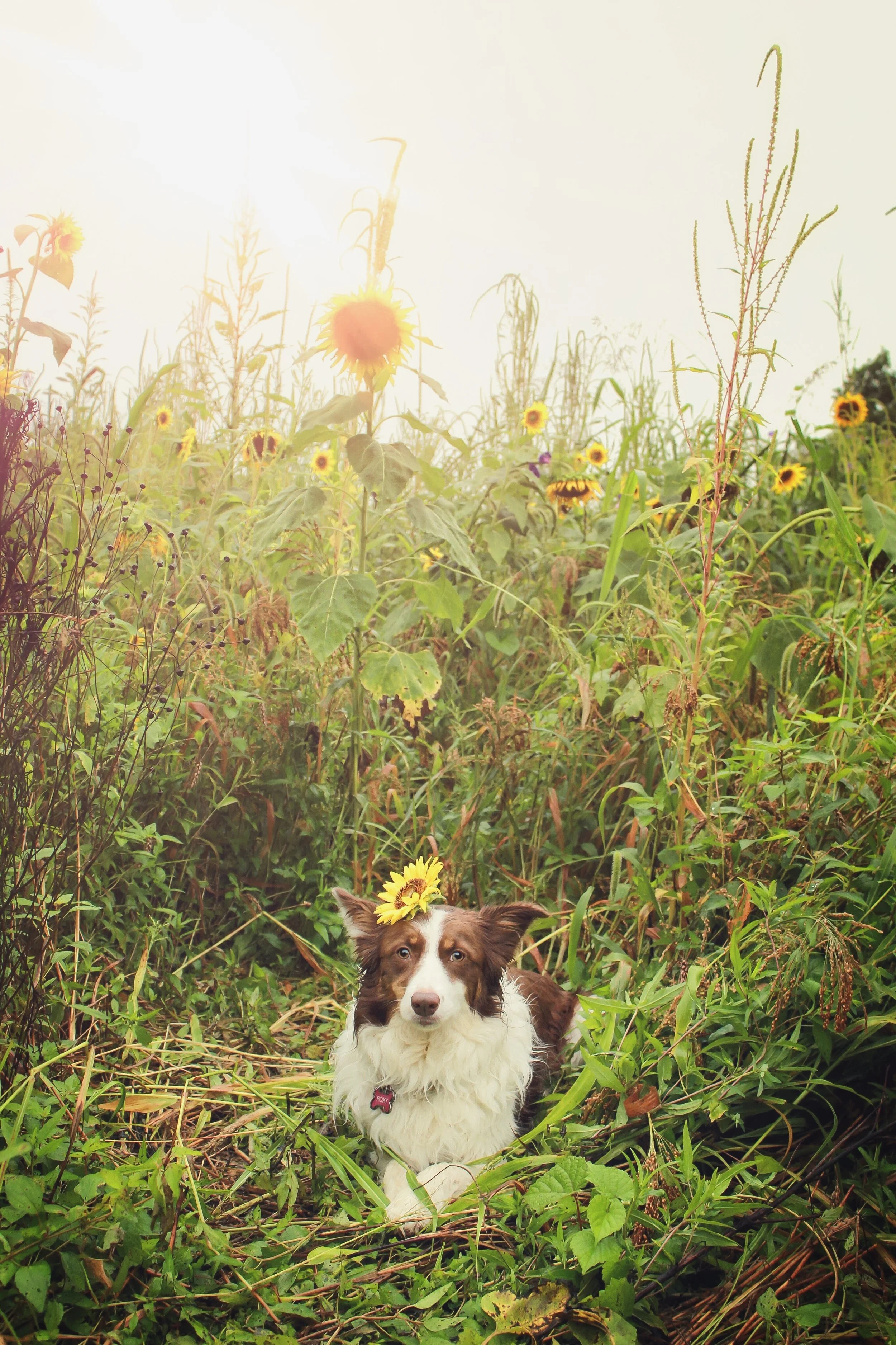 7B130B1C-15B0-4D20-B53D-FF1C816FE6DF.jpeg