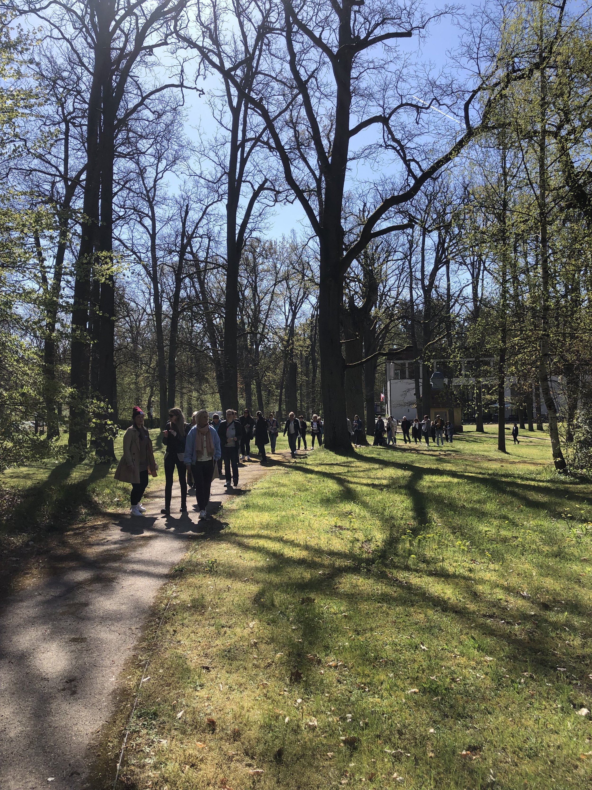 IMG_3788.jpeg