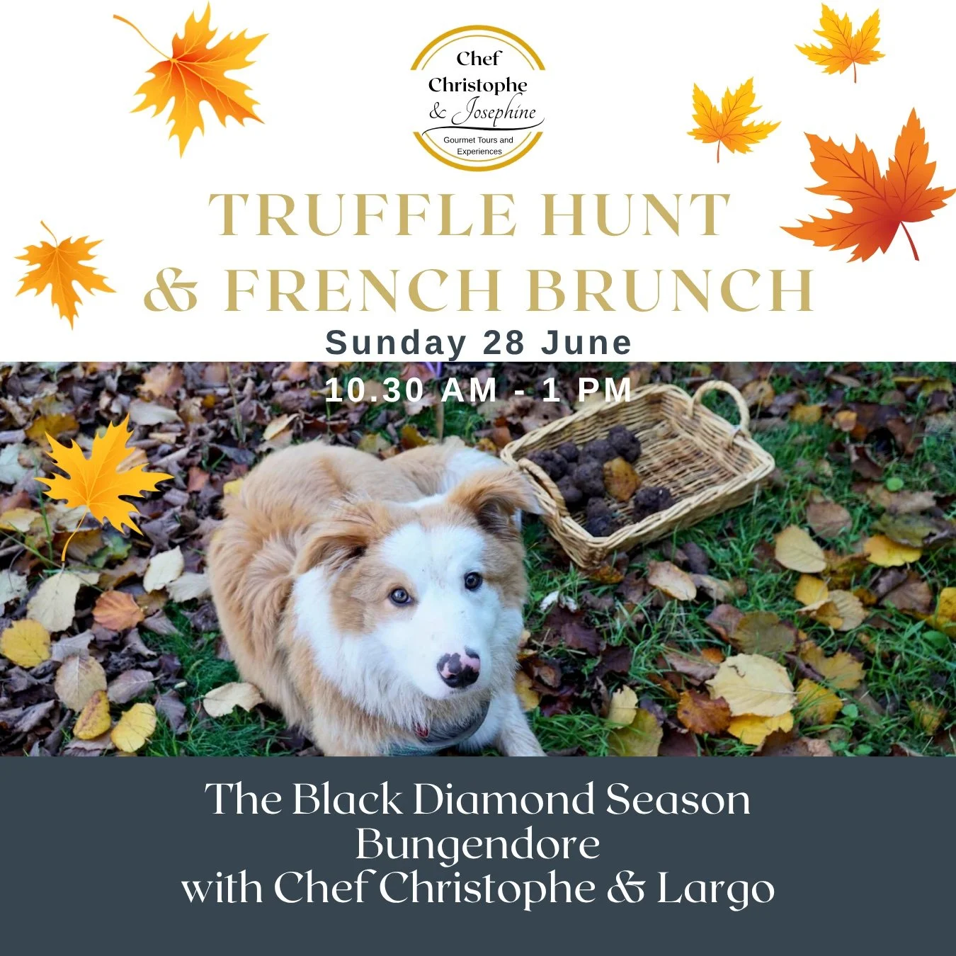Truffle Hunt & French Brunch with Chef Christophe - Sunday 28 June 10.30am