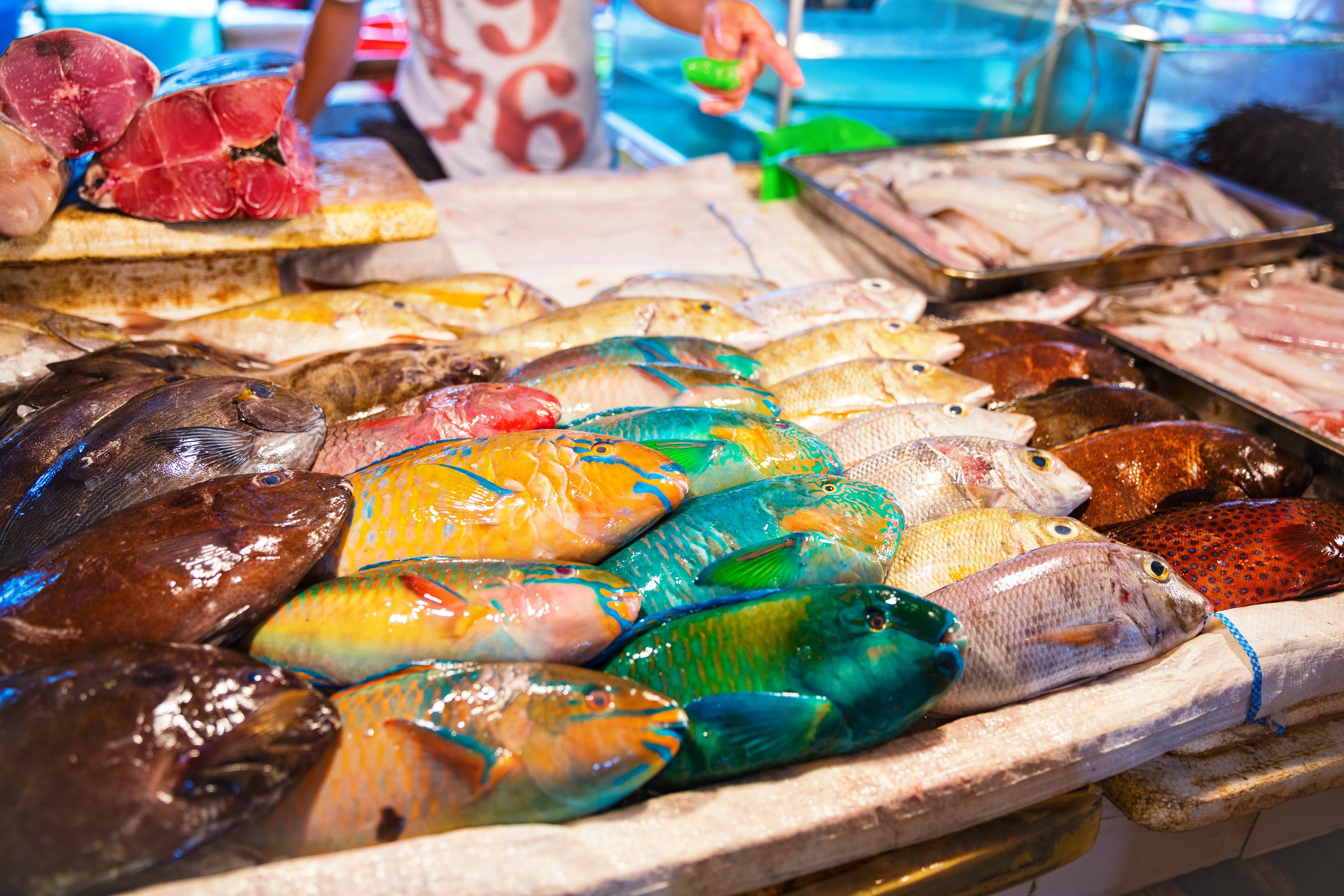 different-kinds-of-fish-for-sale-at-fish-market-in-2021-08-26-22-40-11-utc.jpg