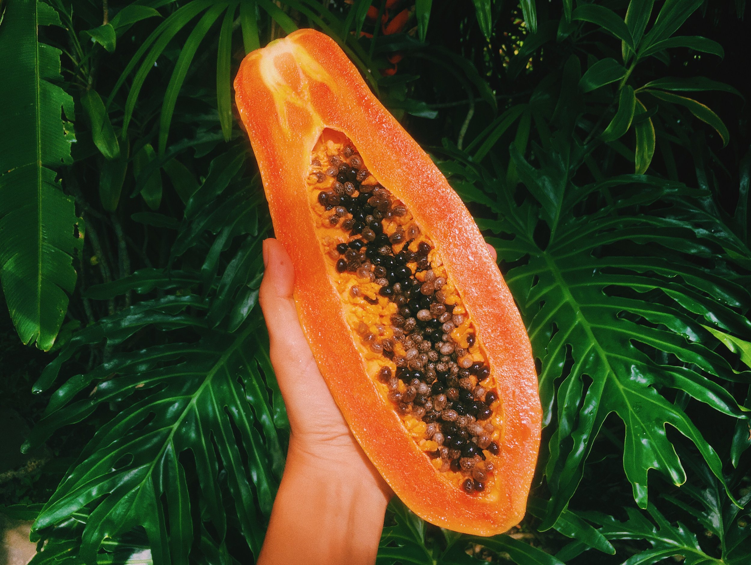 hand-holding-half-of-papaya-2021-11-30-19-51-40-utc.jpg