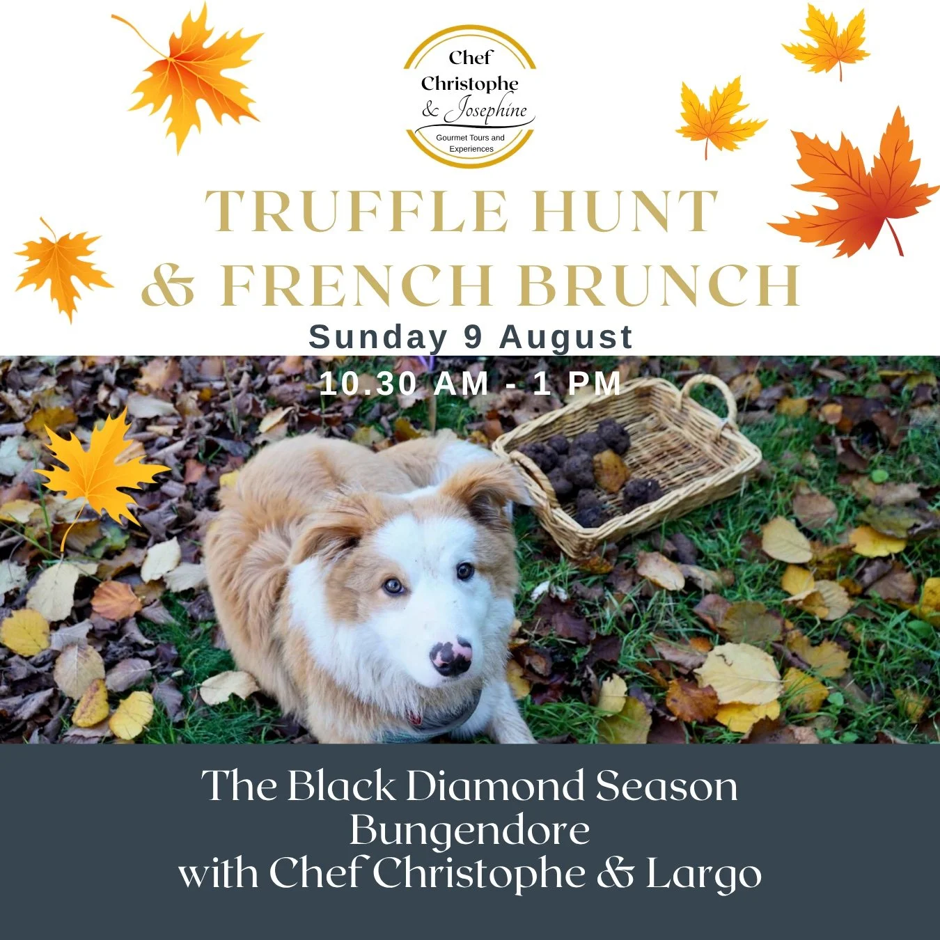 Truffle Hunt & French Brunch with Chef Christophe - Sunday 9 August 10.30am