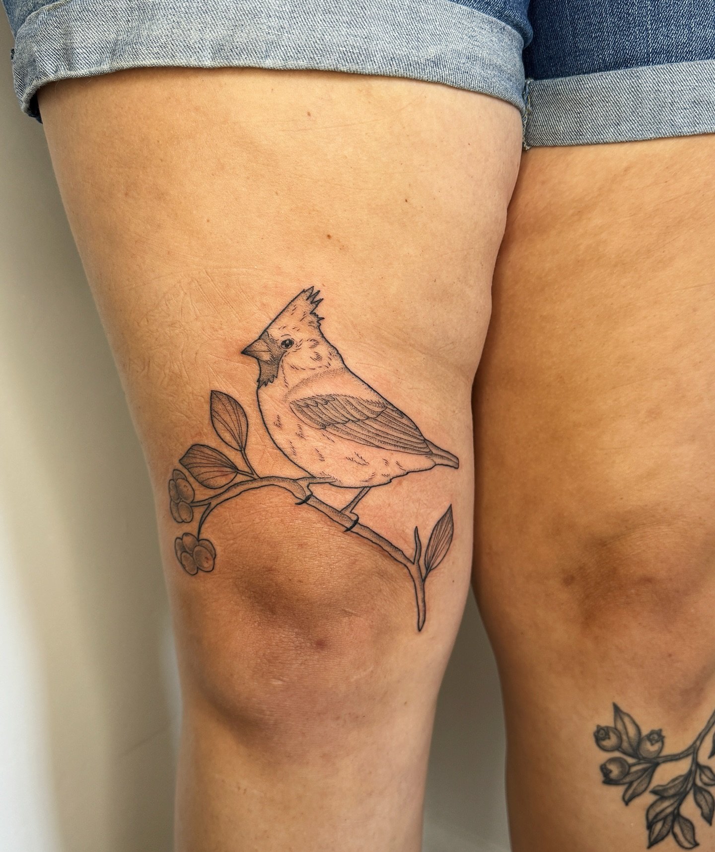 A sweet bb cardinal + snail pal for Odessa next to some healed goodies🧡🪶🐌
Made @neighbors.tattoo