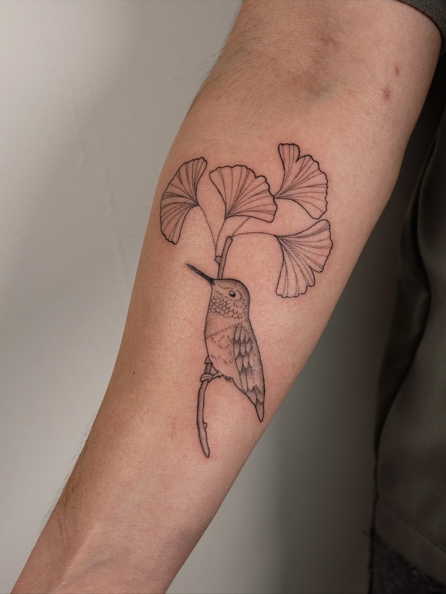 It&rsquo;s been a week filled with smaller bangers and beautiful souls🍂🪲🦩🦋🌷thanks for another fun week! Let me know your fave 🧡
1. Hummingbird + ginkgo branch
2. Acorn flash
3. Cedar waxwing + toyon
4. Grasshopper
5. Flamingo + butterfly
6. Tig