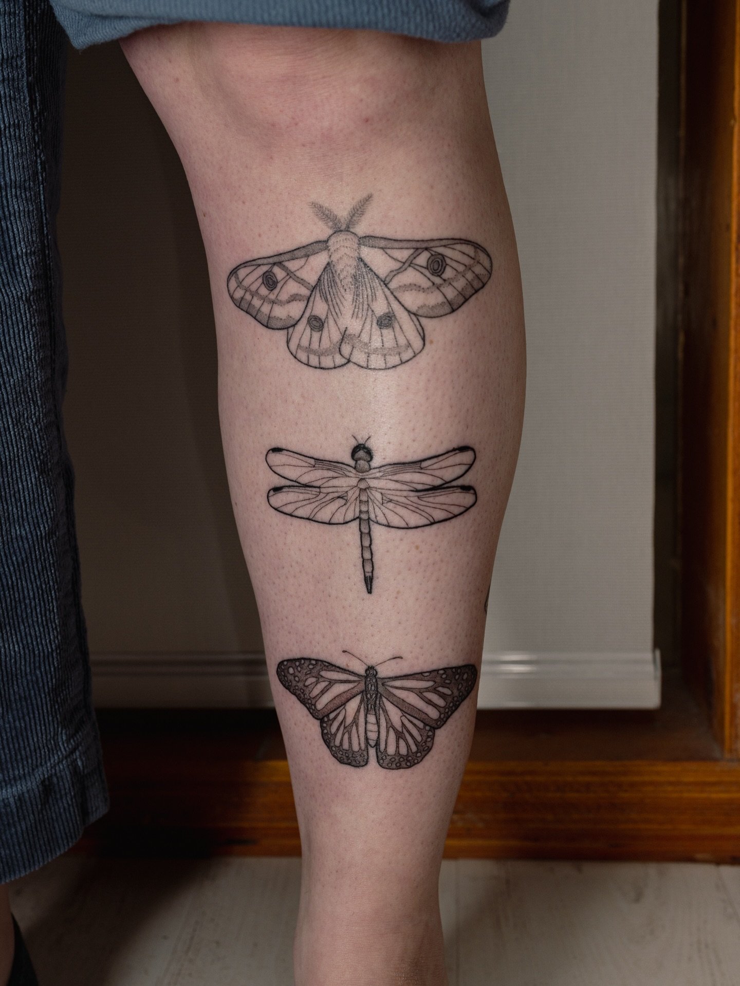 A cutie bug stack from a while ago that got lost in my camera roll! The silk moth is 4 months healed; the blue dasher dragonfly + monarch were a week settled in this photo🦋🧡🌿 thanks McKenna for always coming to me with the most magical ideas✨