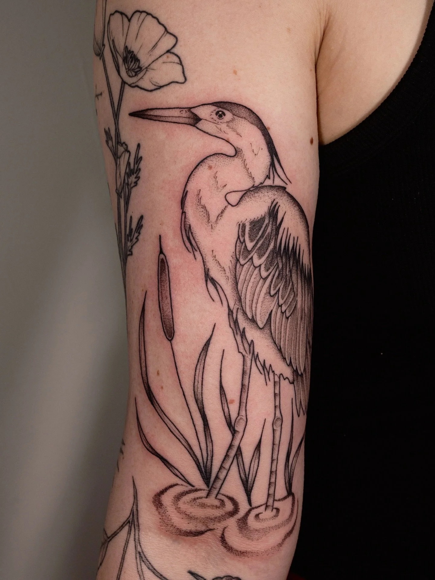 Another fun session with my fave client, Erin🪶💛 we added a big ole great blue heron to her ongoing sleeve project! Thanks for the trust on this one and always giving me creative freedom✨ swipe to see some photos I&rsquo;ve gotten of these guys out 