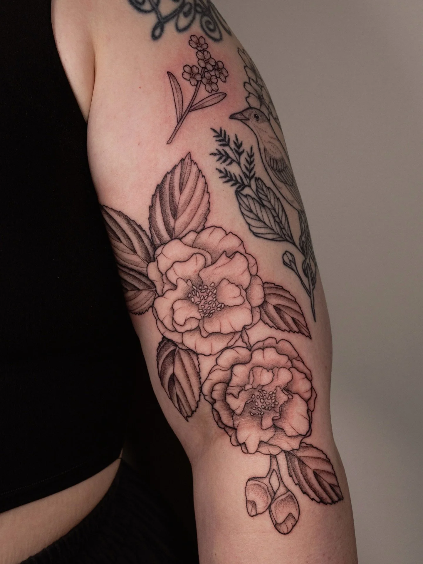 Finally got to do these camellias from my flash + a little forget me not sprig for Ally🌸🌿 swipe to see an eight month healed mocking bird piece✨