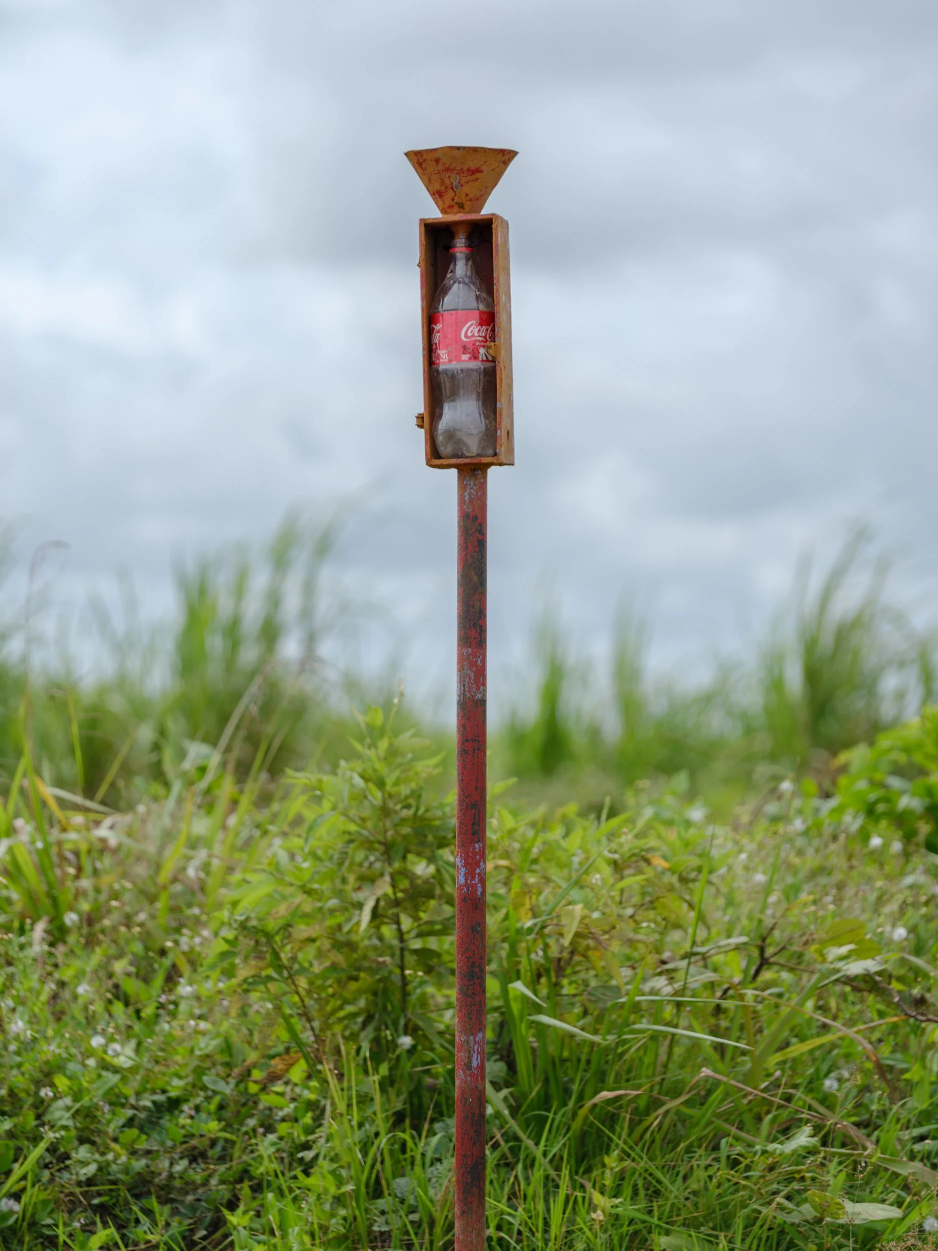 Guyana-11.jpg