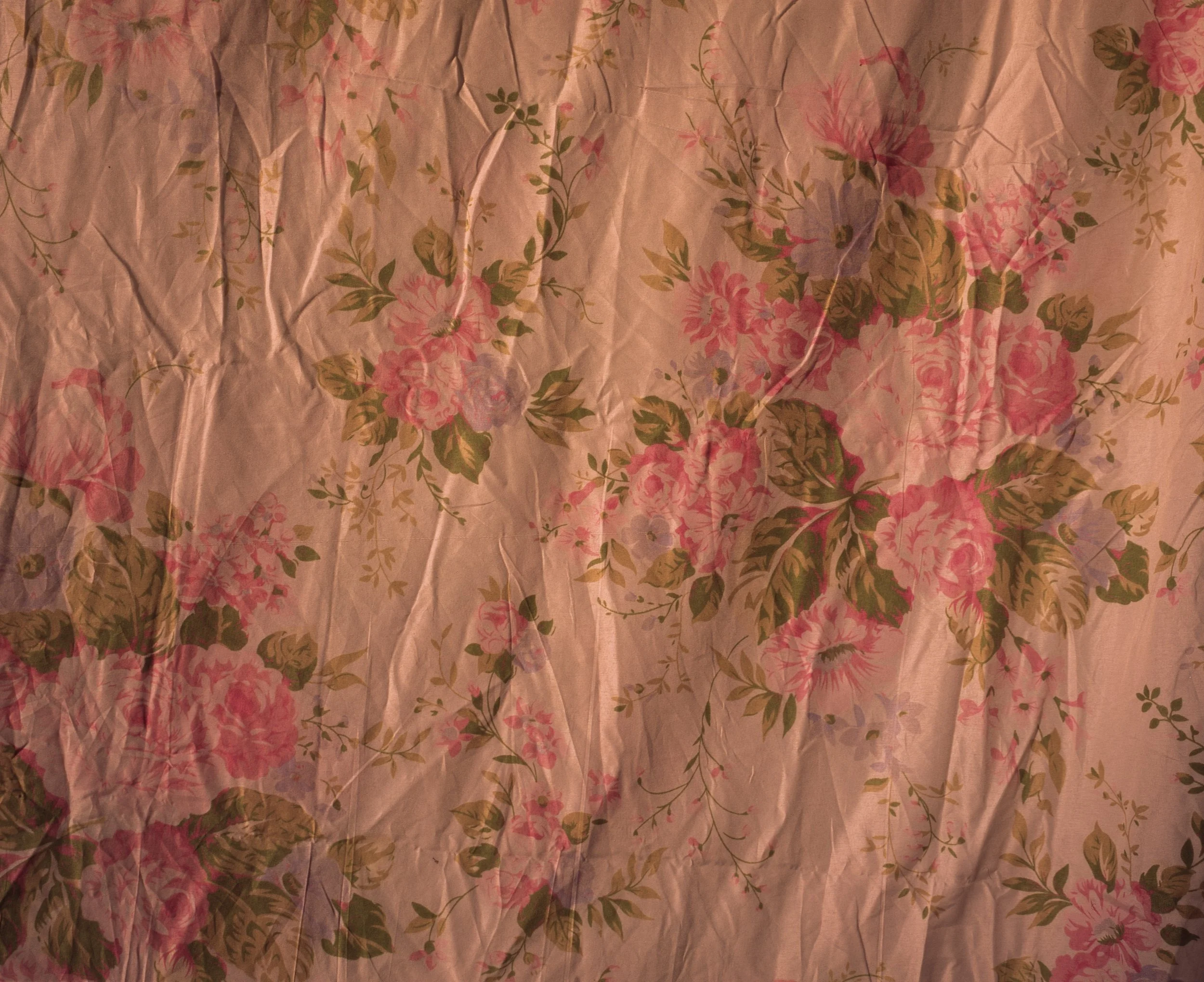 20250528-drying rose sheet provia.jpg