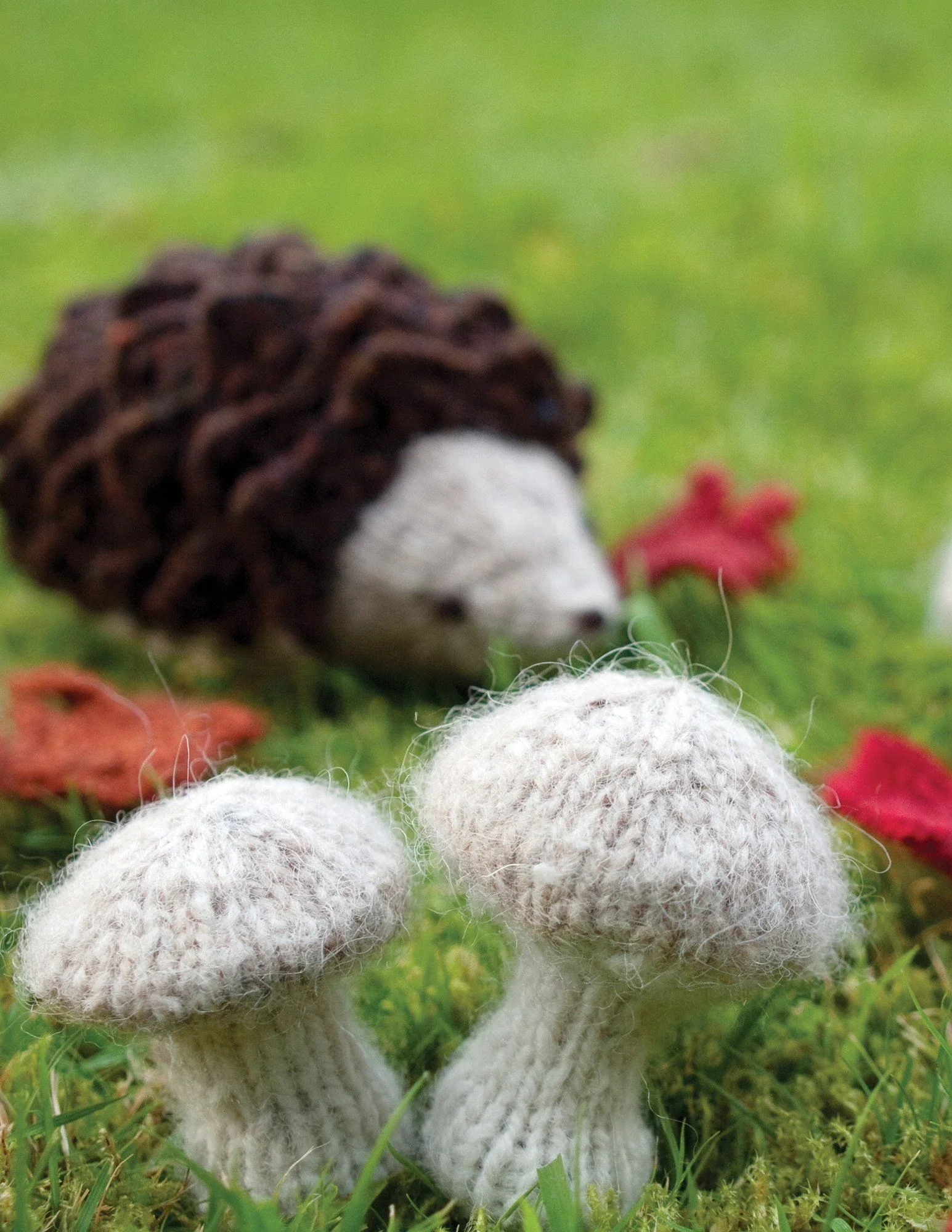 Wee Mushroom