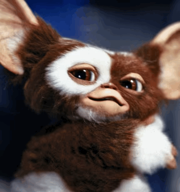 tempImageRYXoPu.gif