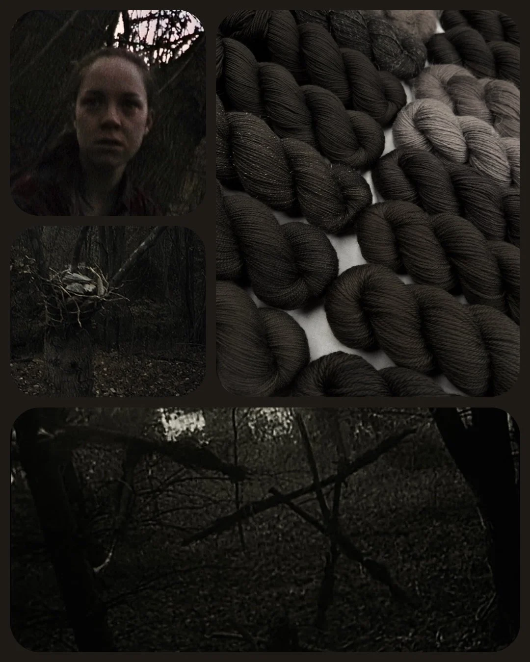 The Blair Witch Project (PREORDER)
