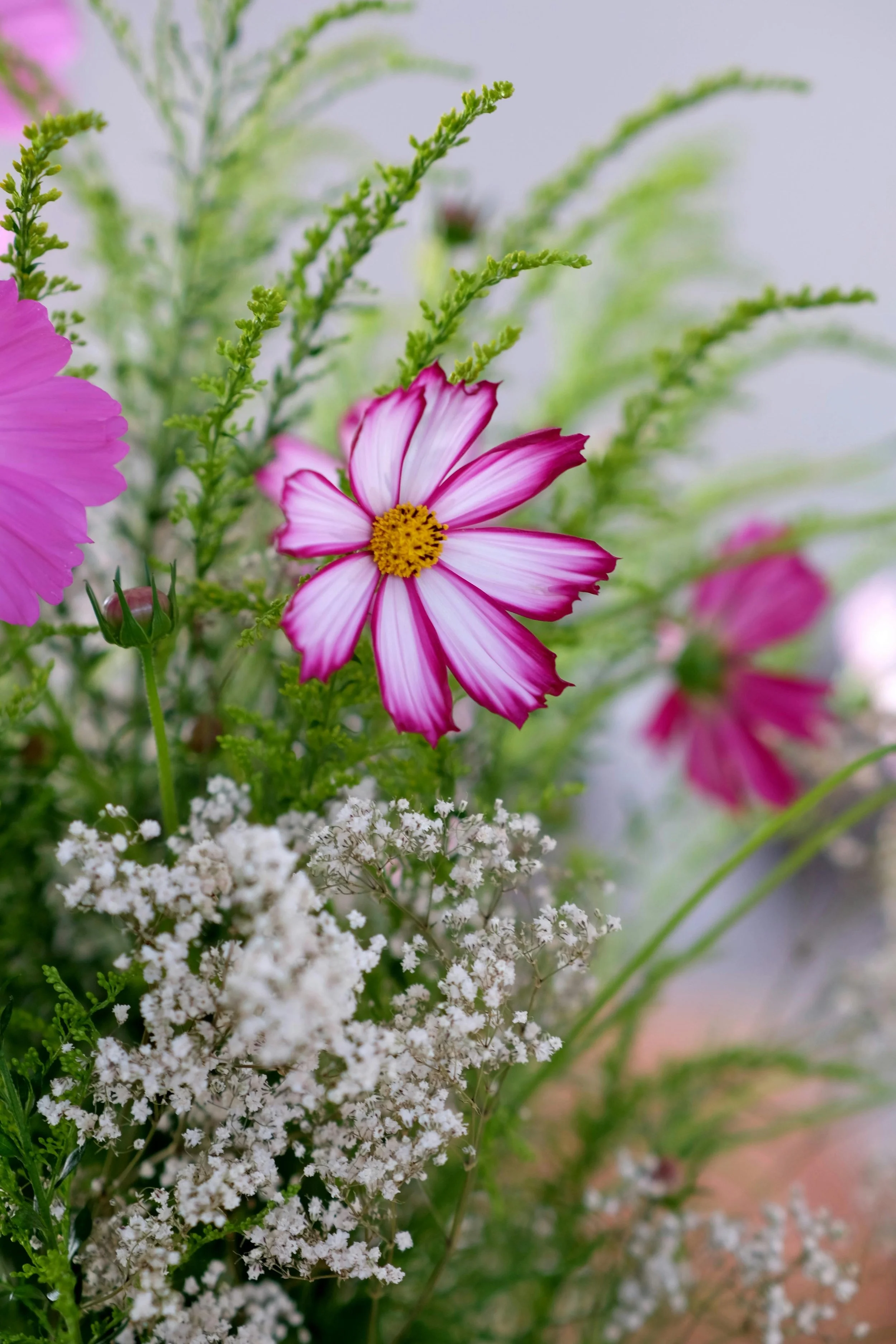 Vaginismus, Vulvodynia, and How Pelvic Floor Physical Therapy with SoftWave Therapy Can Help