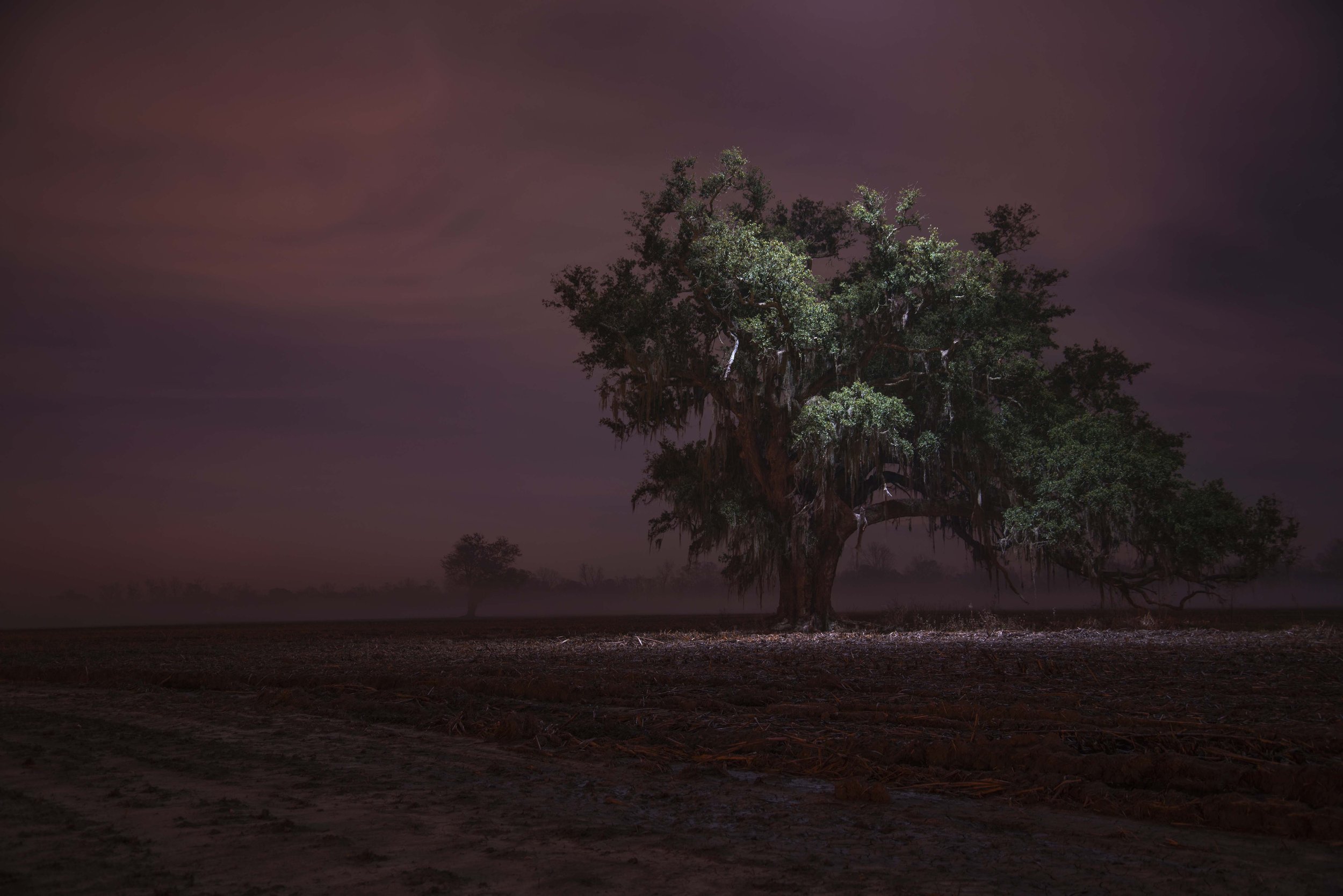 Cohle copy.jpg