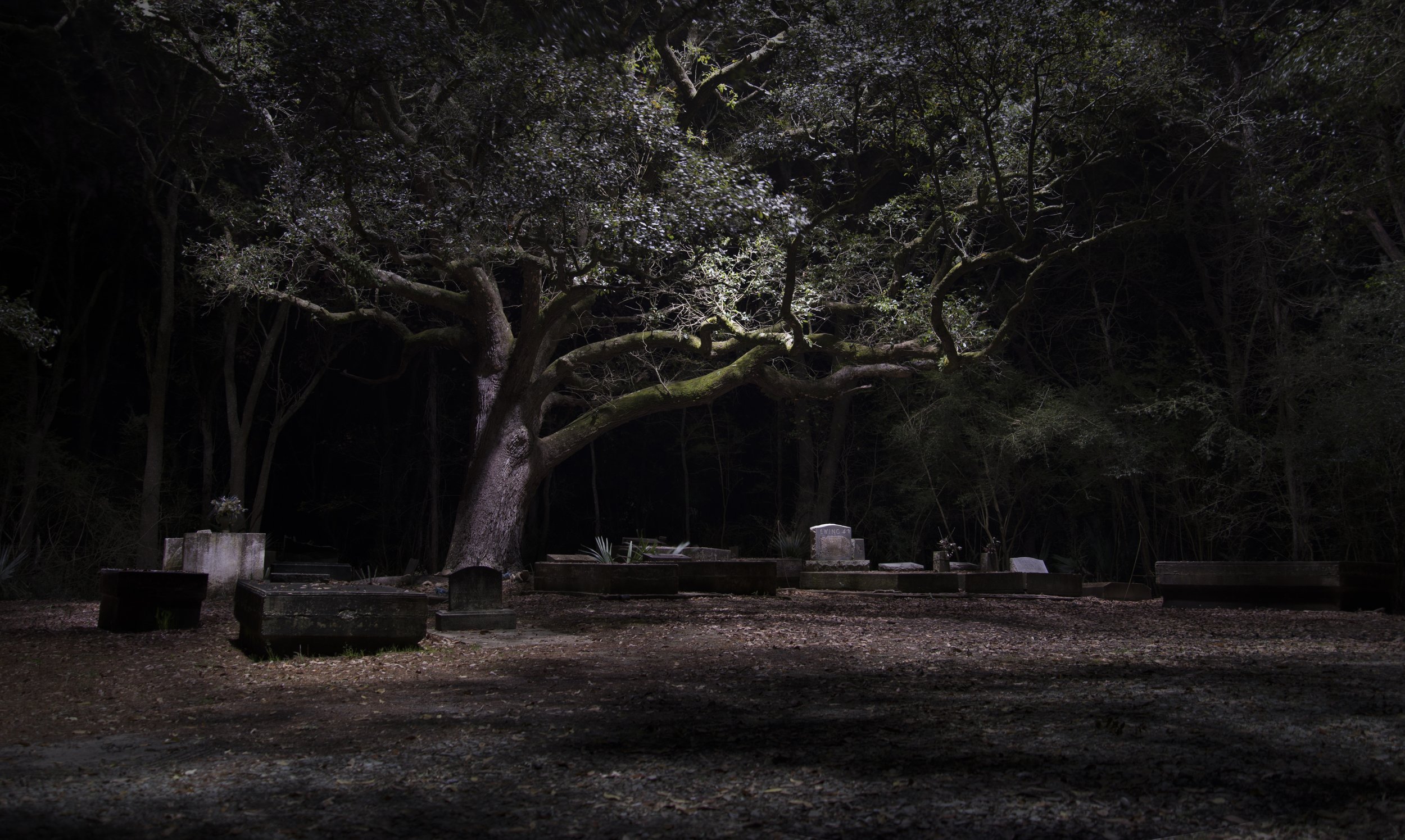 83 Graves