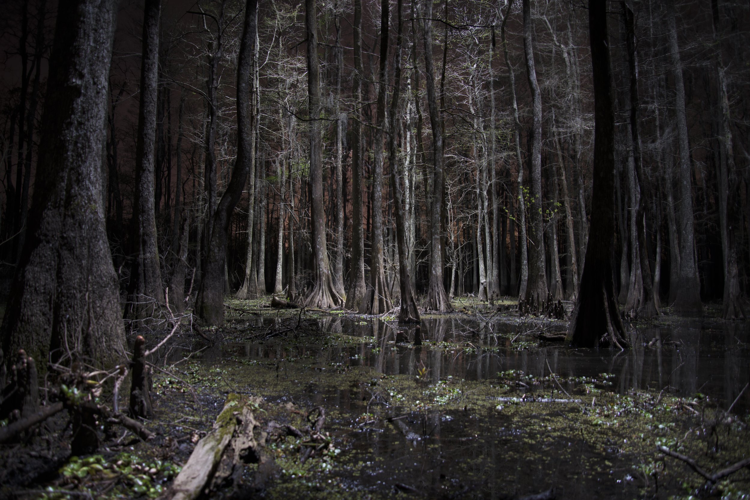 Blackwater 61