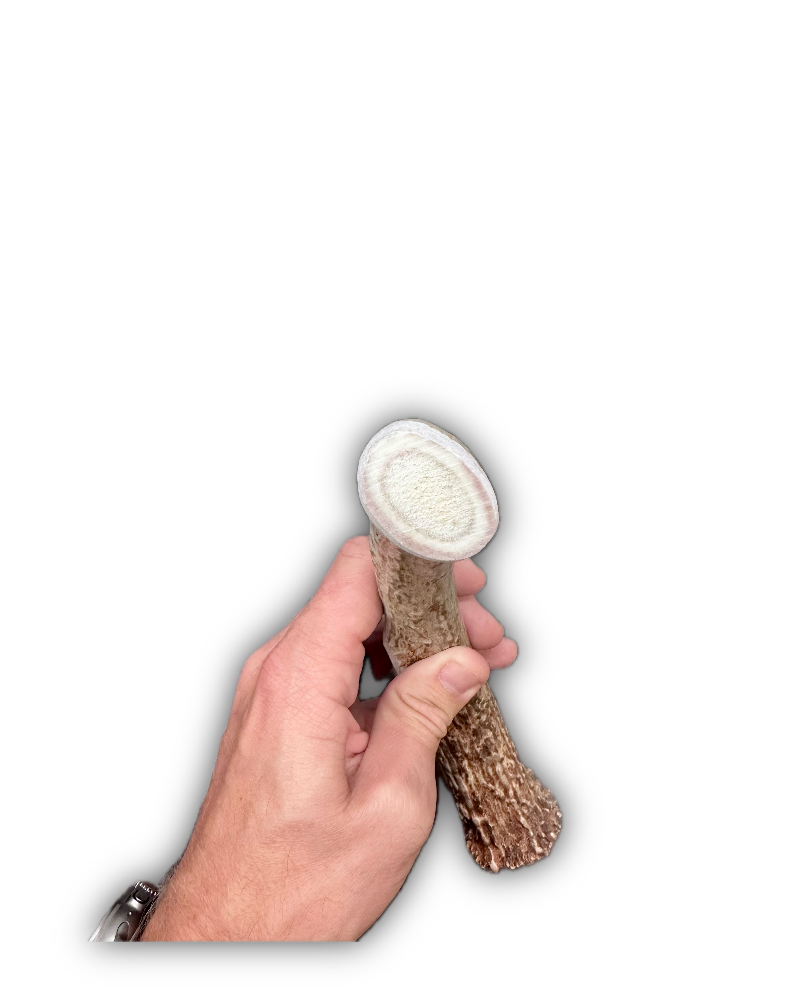 IMG_7022 Background Removed-shadow.png