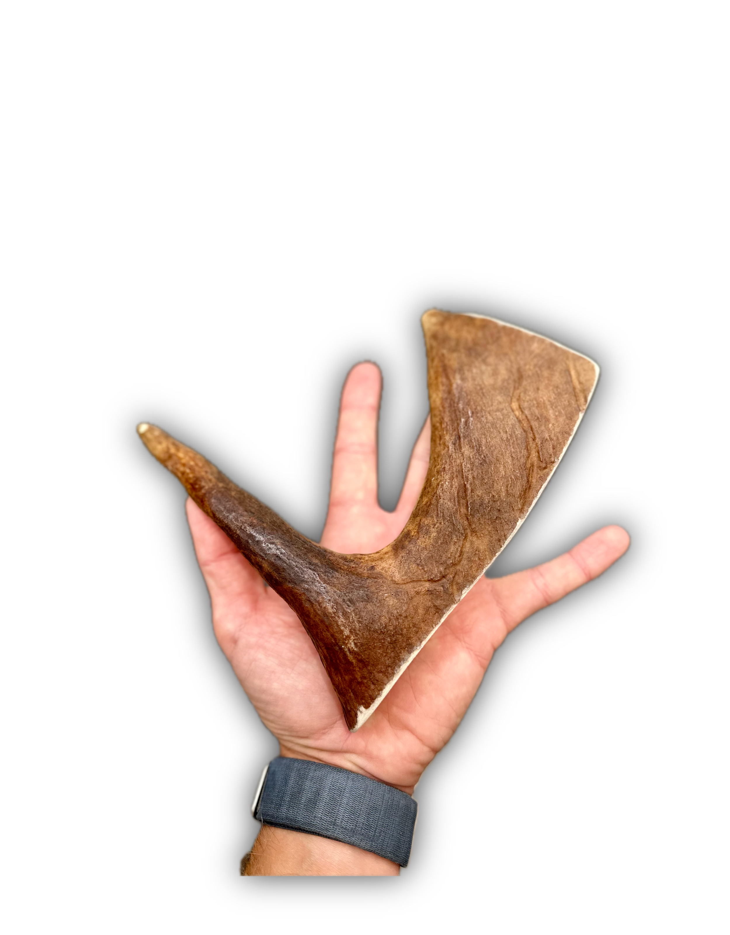 IMG_6928 Background Removed-shadow.png