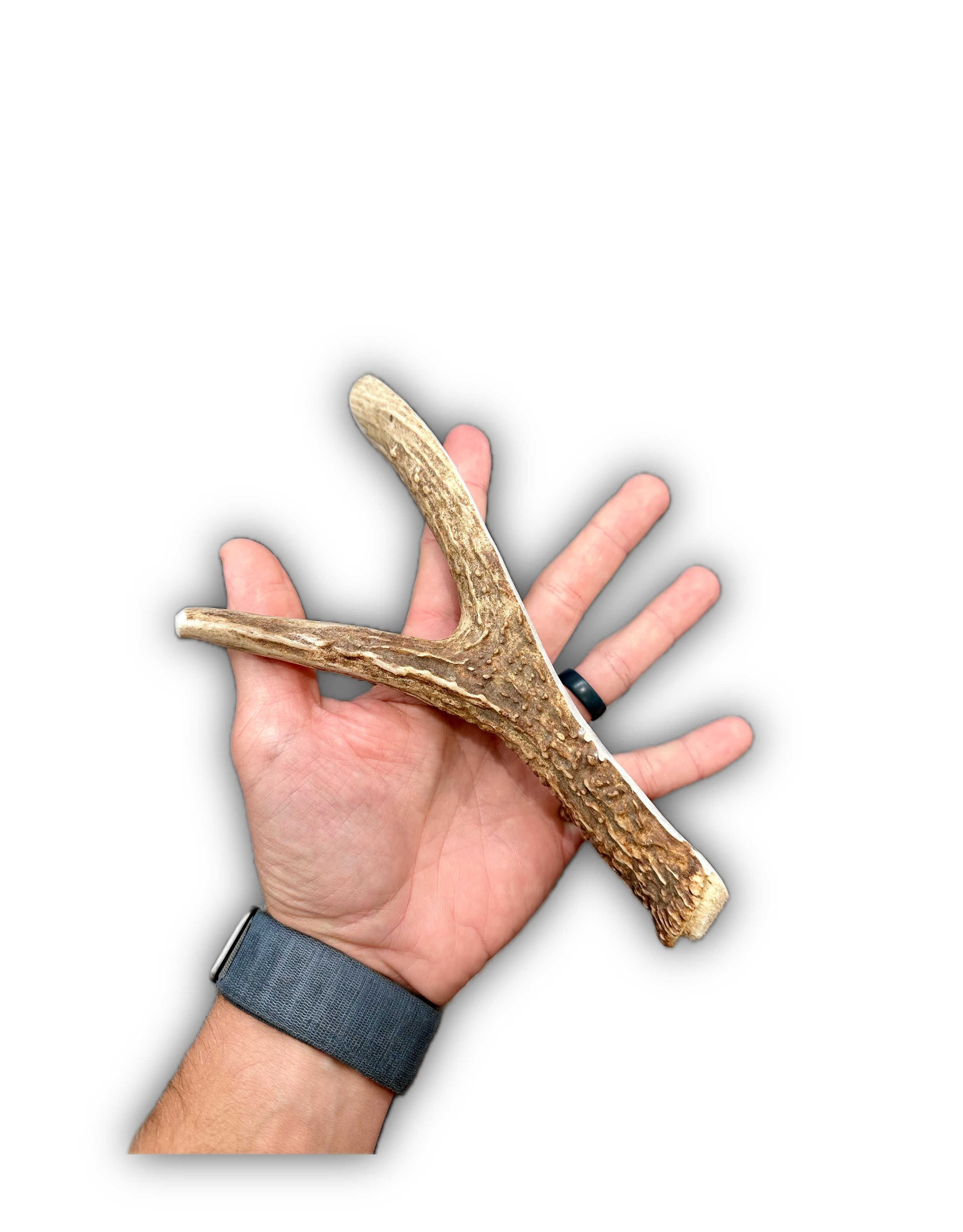 IMG_6960 Background Removed-shadow.png