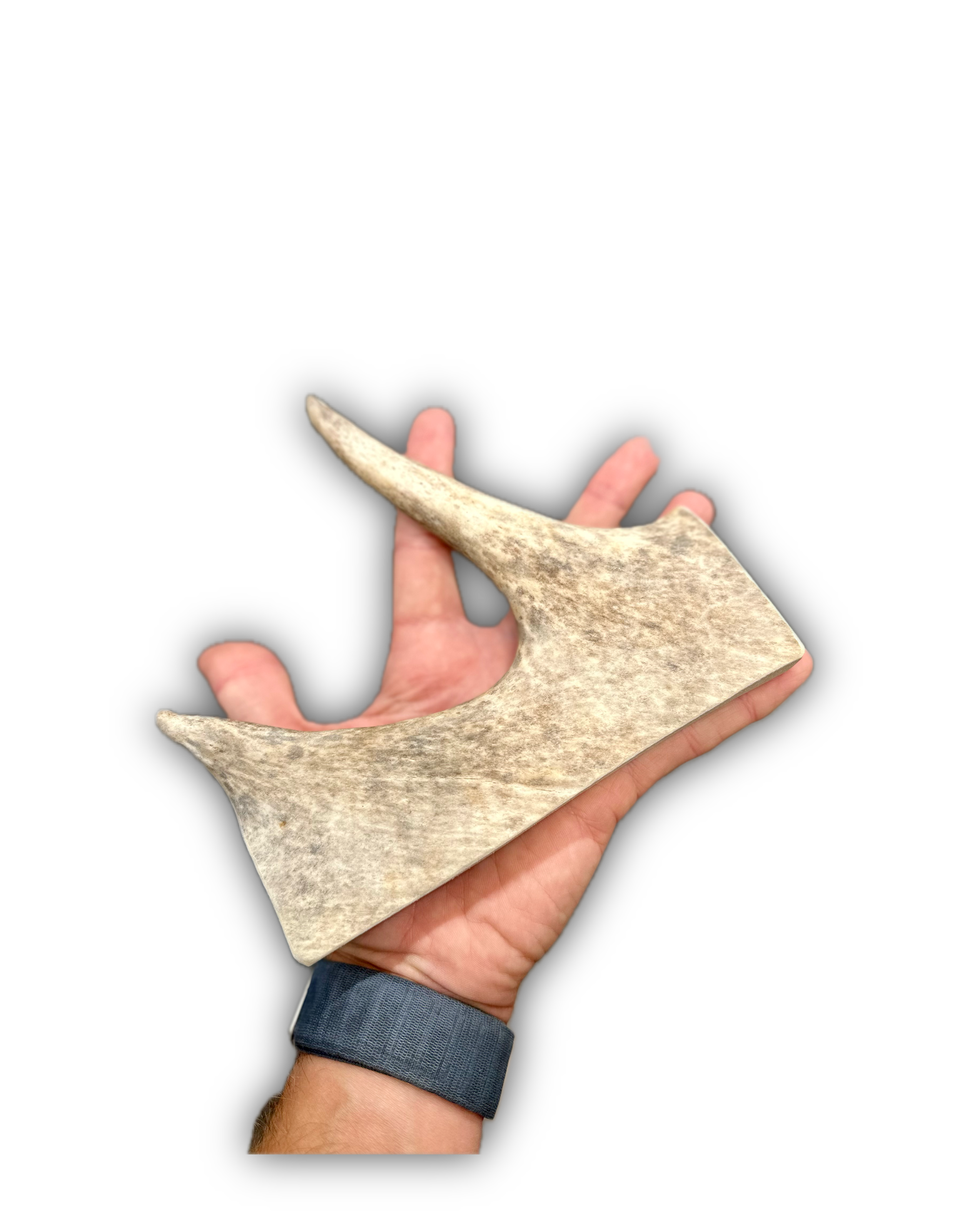 IMG_6931 Background Removed-shadow.png