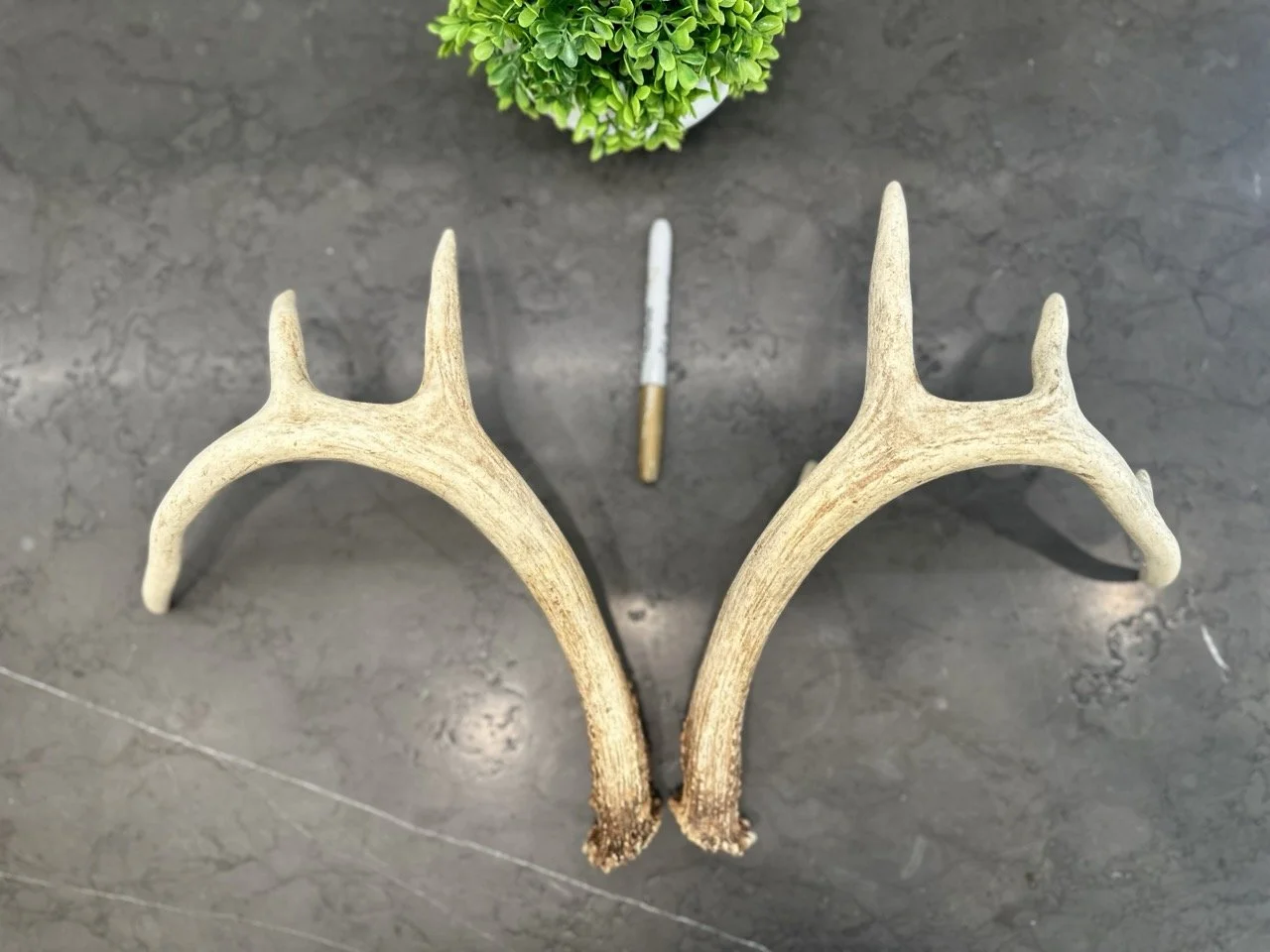 IMG_4382 2 Large.jpeg